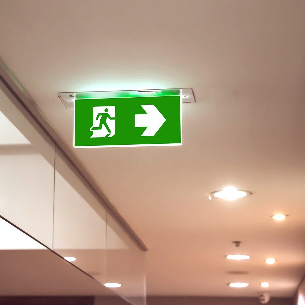 Braytron LED Deckenleuchte LED Notleuchte mit Akku-Notbetrieb für Rettungswege, LED fest integriert, Kaltweiß, Notlicht mit Akku-Notbetrieb, LED fest integriert