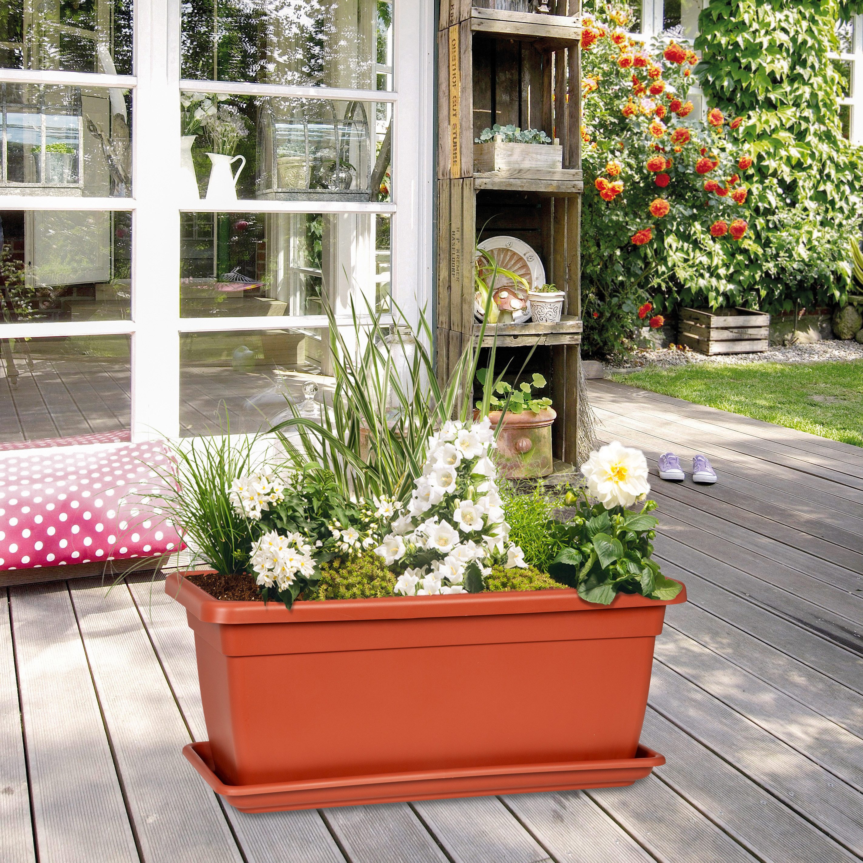 Scheurich Pflanzkübel für ideale Pflege ohne Staunässe, mit Wasserreservoir günstig online kaufen