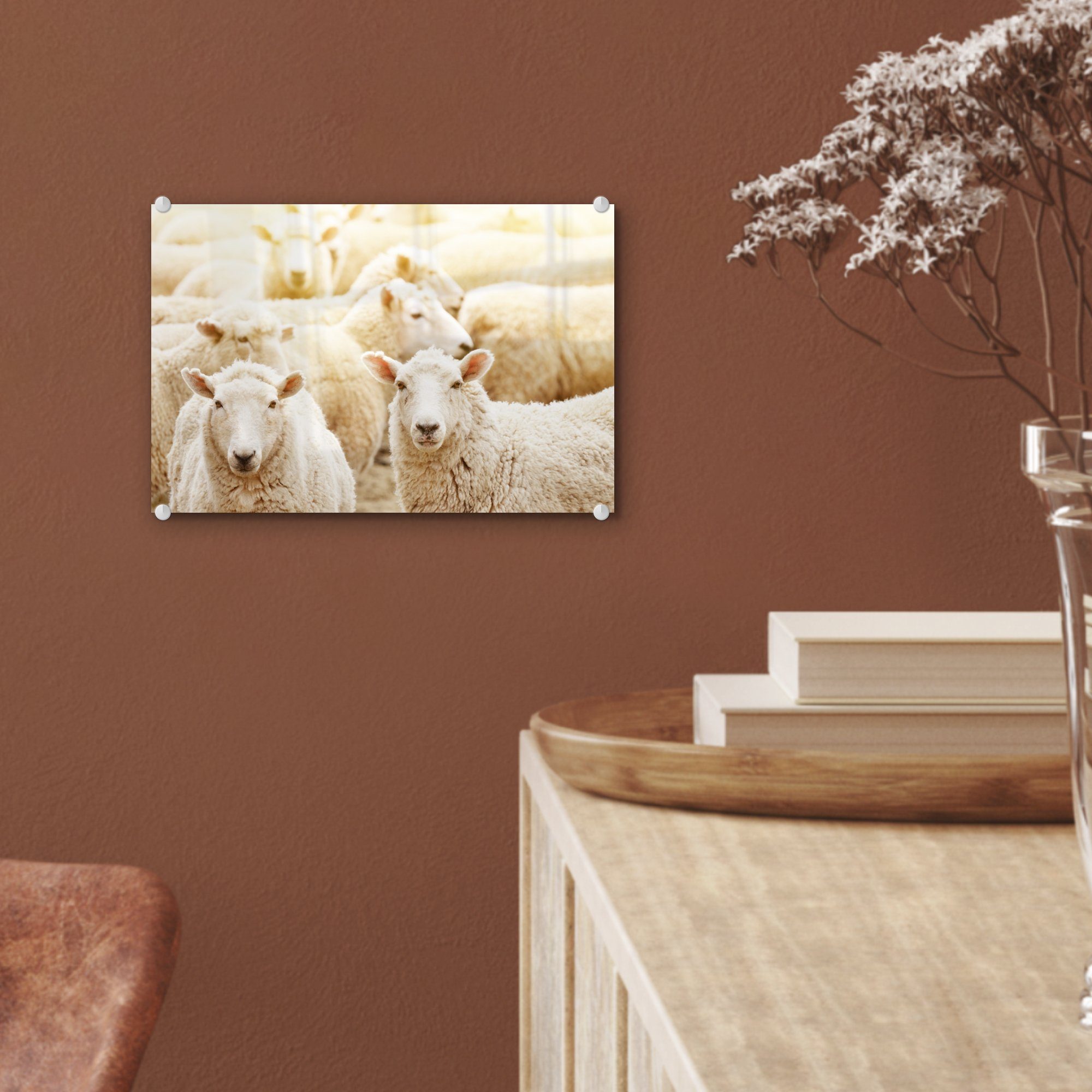 MuchoWow Schafe - auf Foto St), - Weiß, - Wandbild Wolle Bilder - Acrylglasbild Wanddekoration auf (1 Glas - Glasbilder Glas