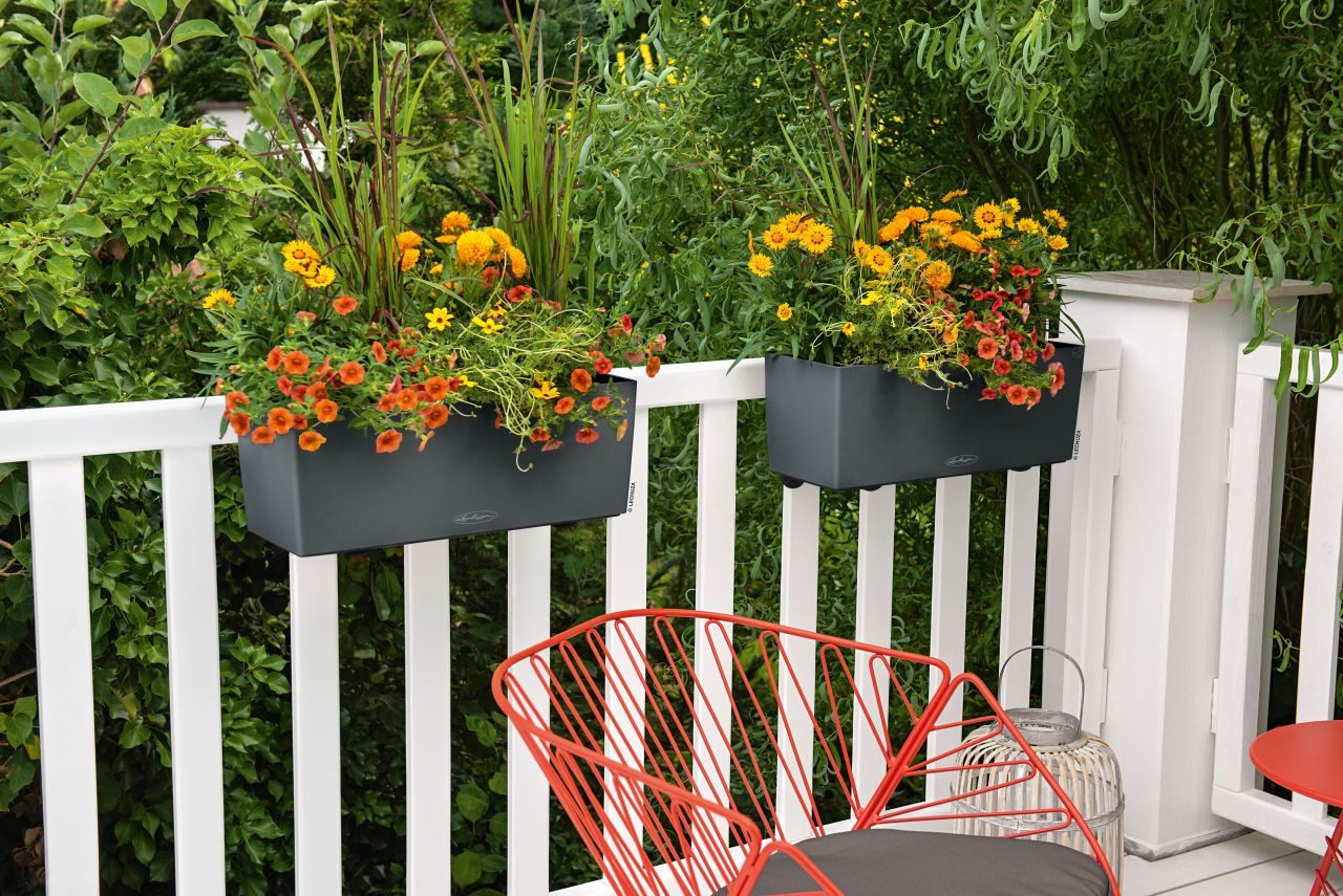 Lechuza® Blumenkasten Lechuza Balkonkasten Balconera Color 50 cm