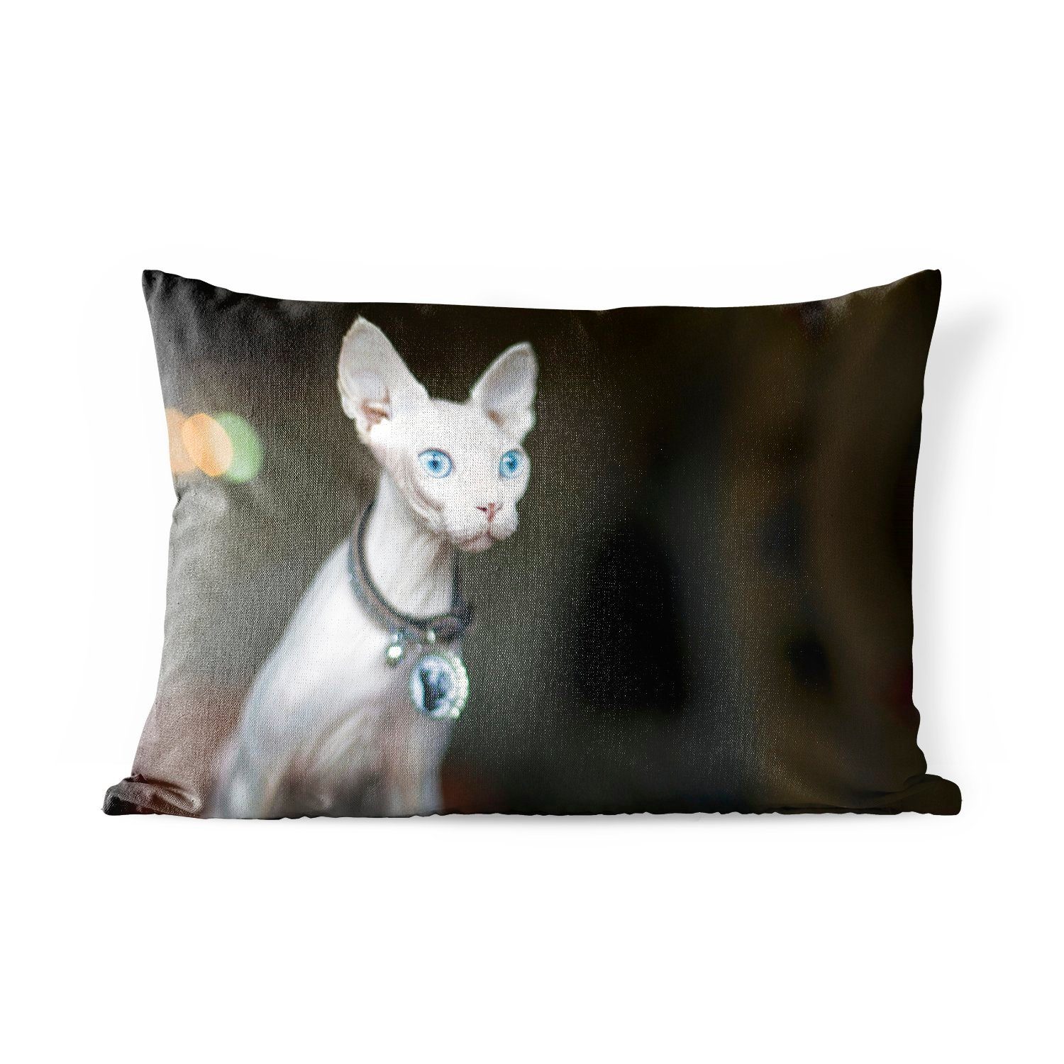 MuchoWow Dekokissen Sphynx-Katze mit auffallend blauen Augen, Outdoor-Dekorationskissen, Polyester, Dekokissenbezug, Kissenhülle