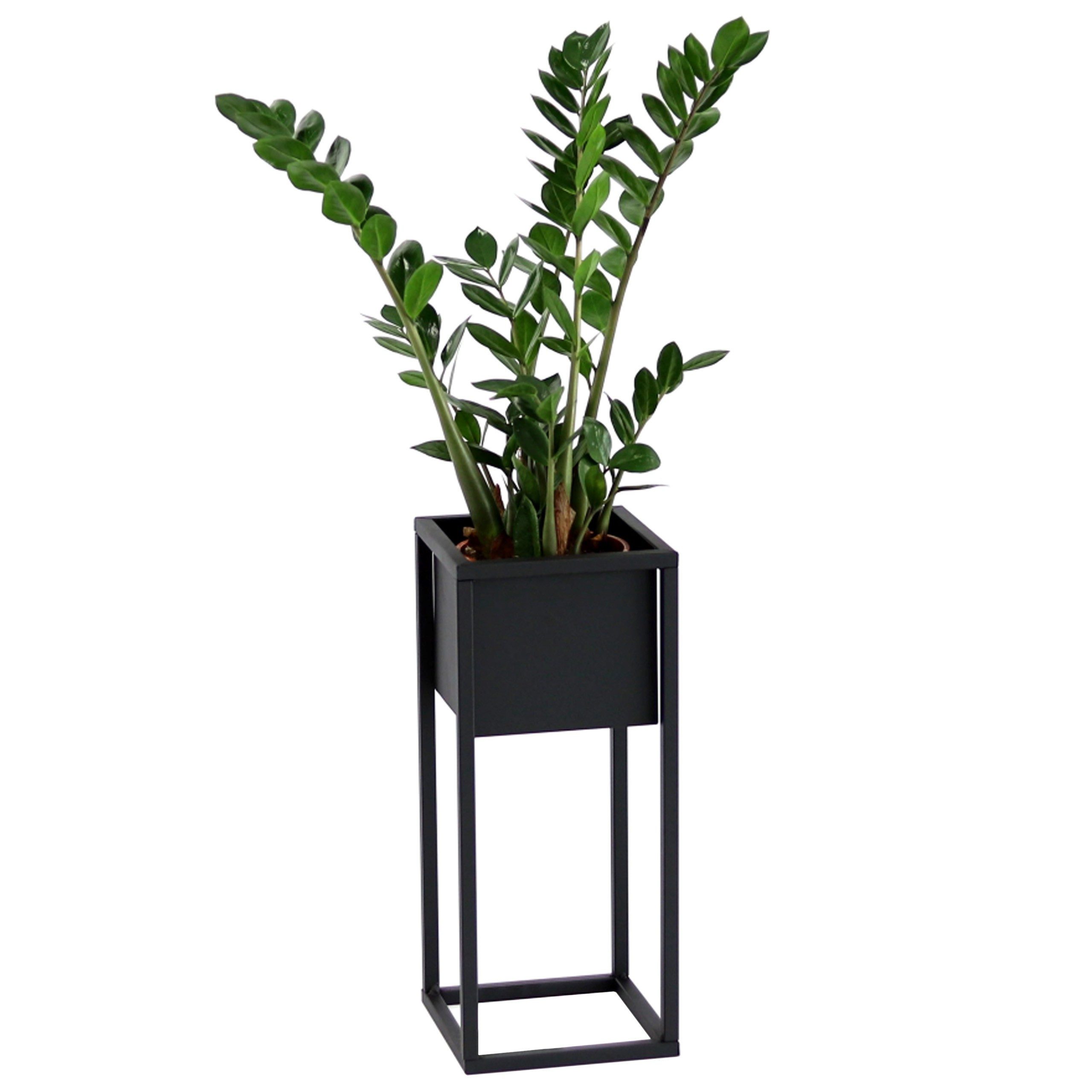 Blumenbank Schwarzes Blumenregal Blumenbank aus Metall CUBO 50x21x17cm