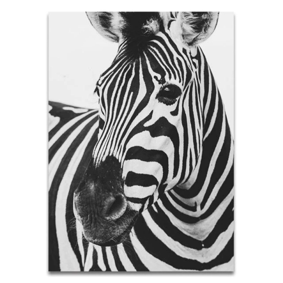 TPFLiving Kunstdruck (OHNE RAHMEN) Poster - Leinwand - Wandbild, Tierwelt Afrikas - Giraffe Elefant Zebra Nashorn Löwe Pferd - (12 Motive in 17 Größen zur Auswahl), Farben: Schwarz, Gold, Weiß - Größe: 13x18cm