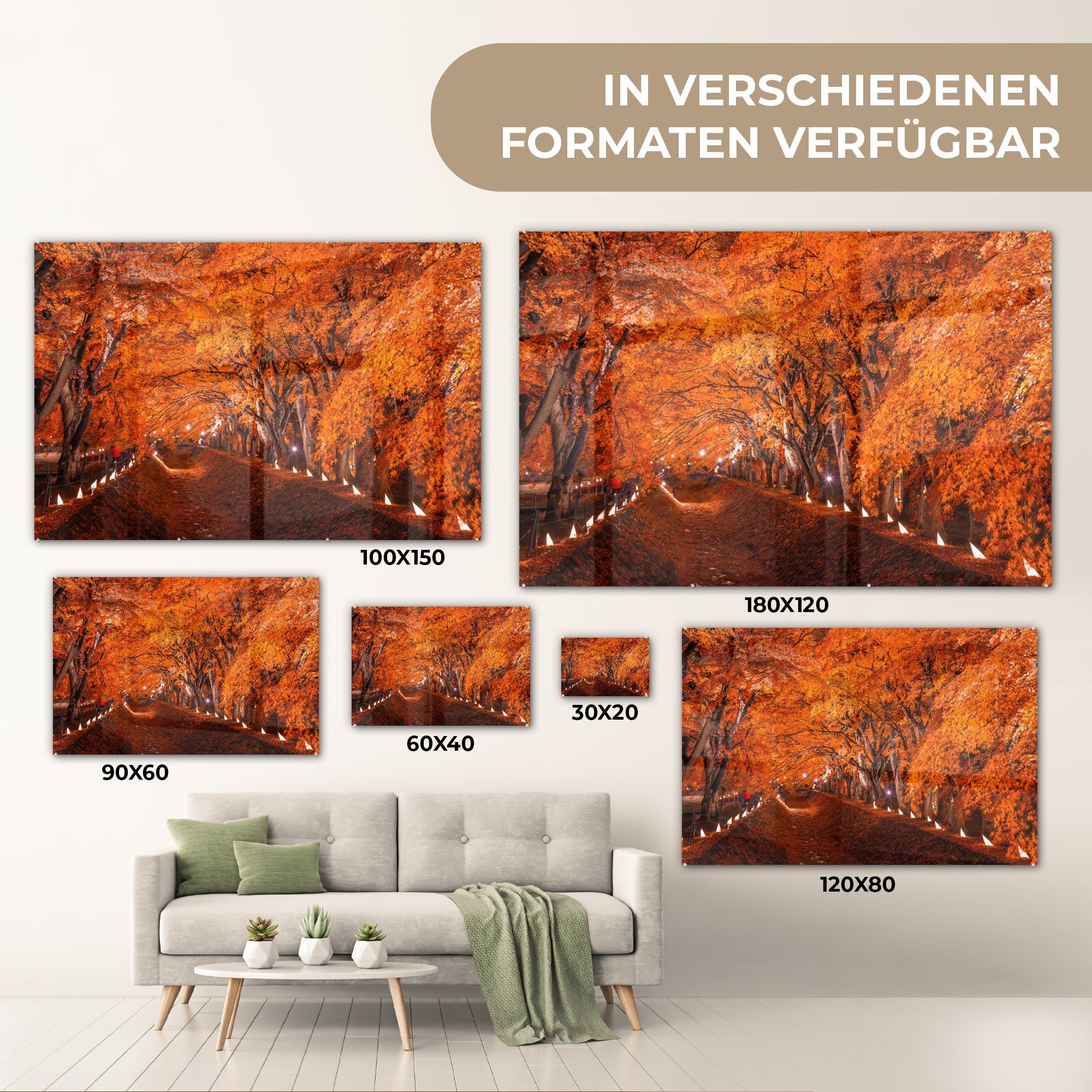 Pfad, Schlafzimmer Acrylglasbilder MuchoWow Herbstlicher (1 St), Wohnzimmer & Acrylglasbild
