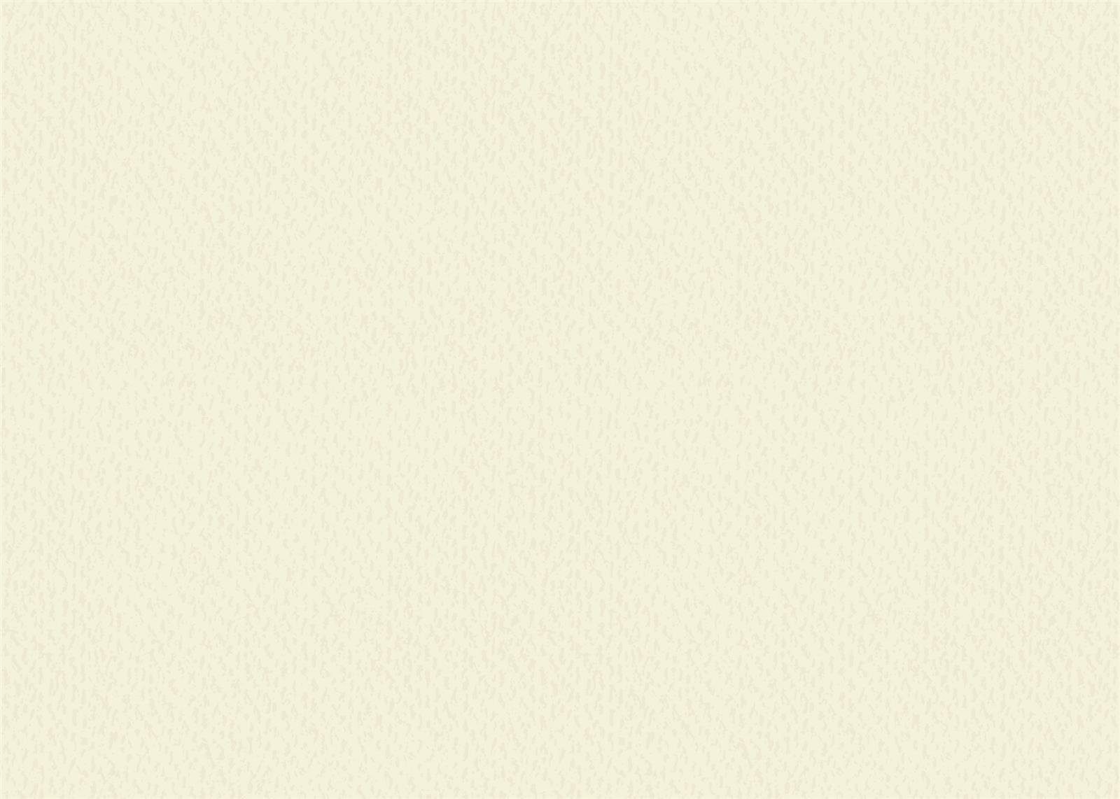 Heyda Karton Heyda 204720007 Tonkarton Heyda Color 50 x 70 cm perlweiß