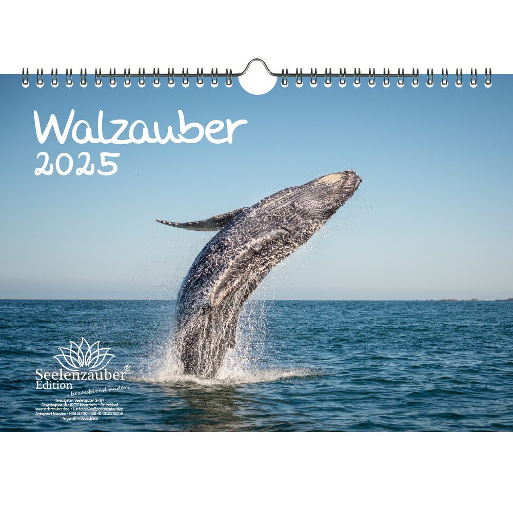 Seelenzauber Wandkalender Walzauber DIN A4 Kalender für 2025 Wal