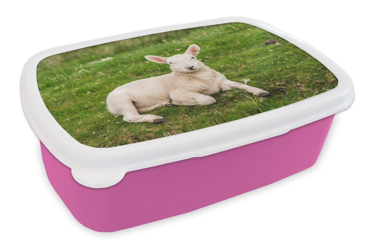 MuchoWow Lunchbox Schafe - Tiere - Lamm, Kunststoff, (2-tlg), Brotbox für Erwachsene, Brotdose Kinder, Snackbox, Mädchen, Kunststoff rosa