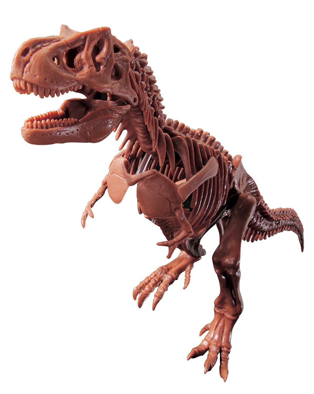 Fossilienset Edu-Toys (1-tlg) Experimentierkasten Tyrannosaurus Rex, GK008 T-Rex