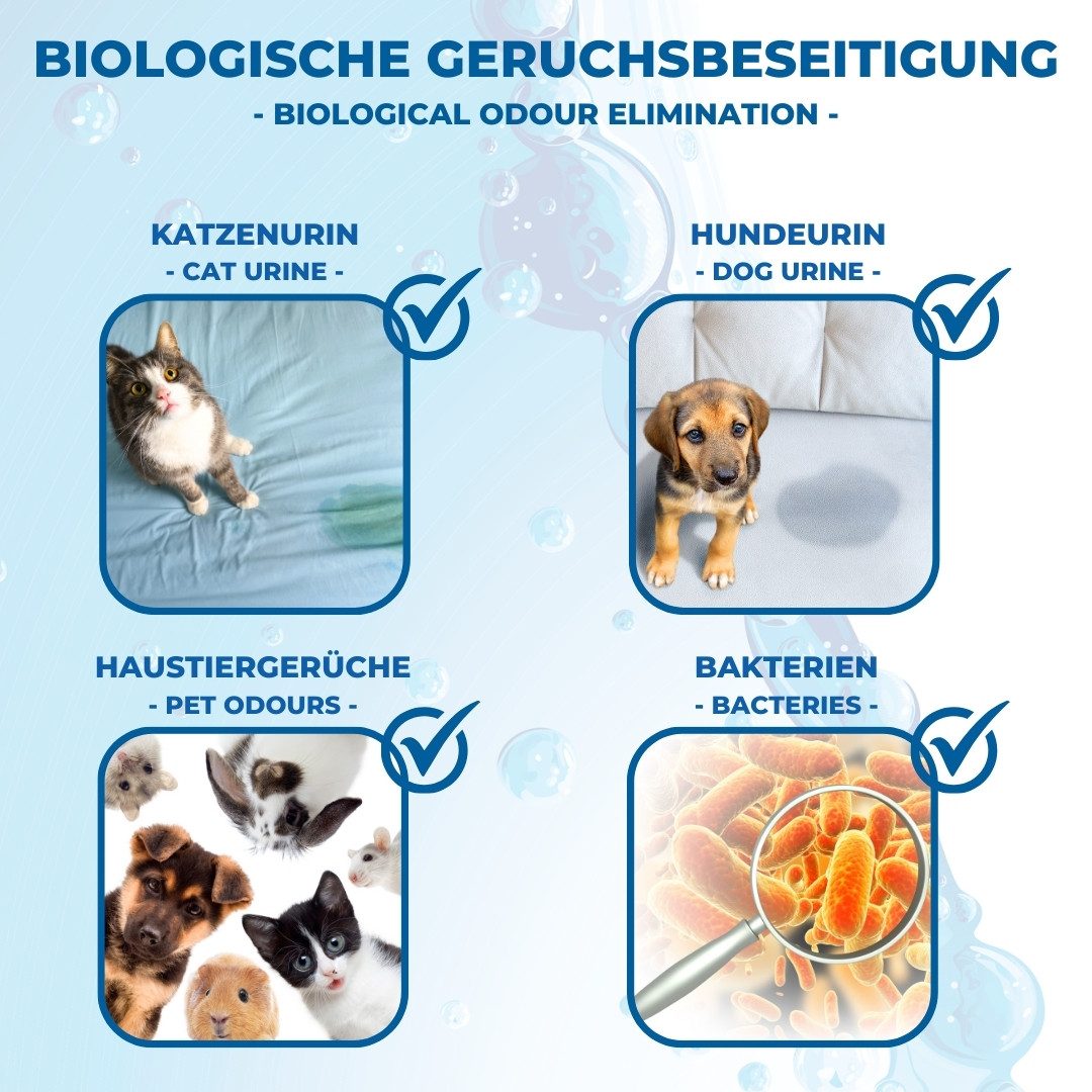 PandaCleaner Geruchsentferner Bio-Urin Attacke - Geruchsvernichter - Biologische Geruchsbeseitigung (1-St), 1l