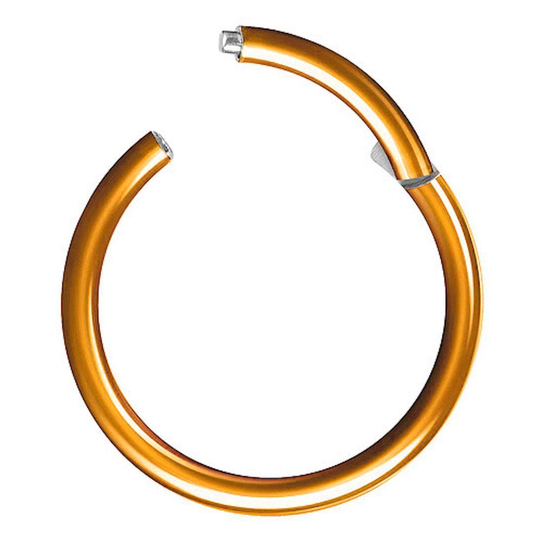 Taffstyle Nasenpiercing Clicker Ohr Universal Piercing Titan G23 oder Chirurgenstahl (Vielseitiger Segmentring aus Titan oder Chirurgenstahl in vielen Farben und Größen), Scharnier Klicker für Septum Ohr Nase Lippe