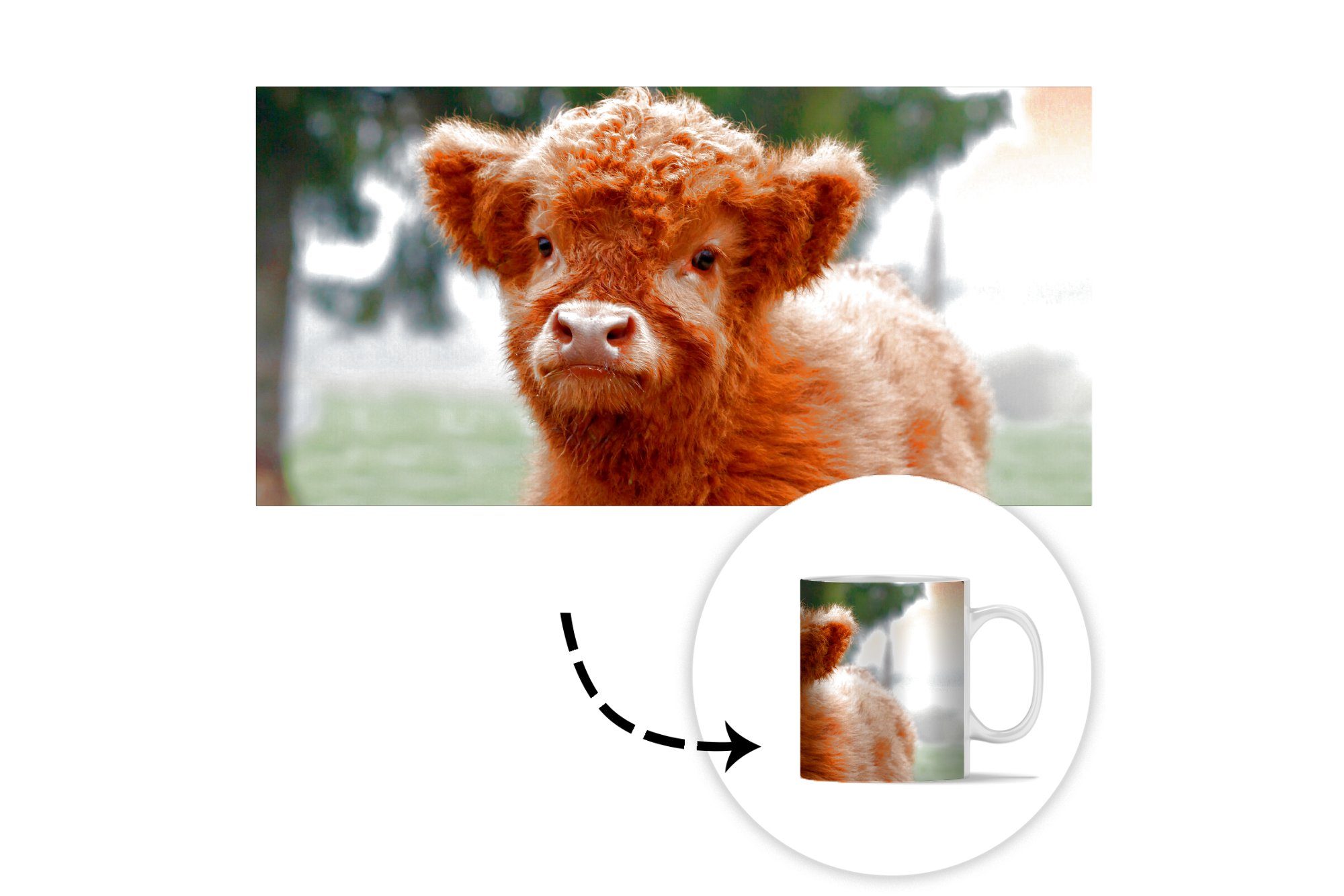 MuchoWow - Keramik, Kaffeetassen, Teetasse, Geschenk Tasse Kalb Highlander Scottish Teetasse, Gras, - Becher,