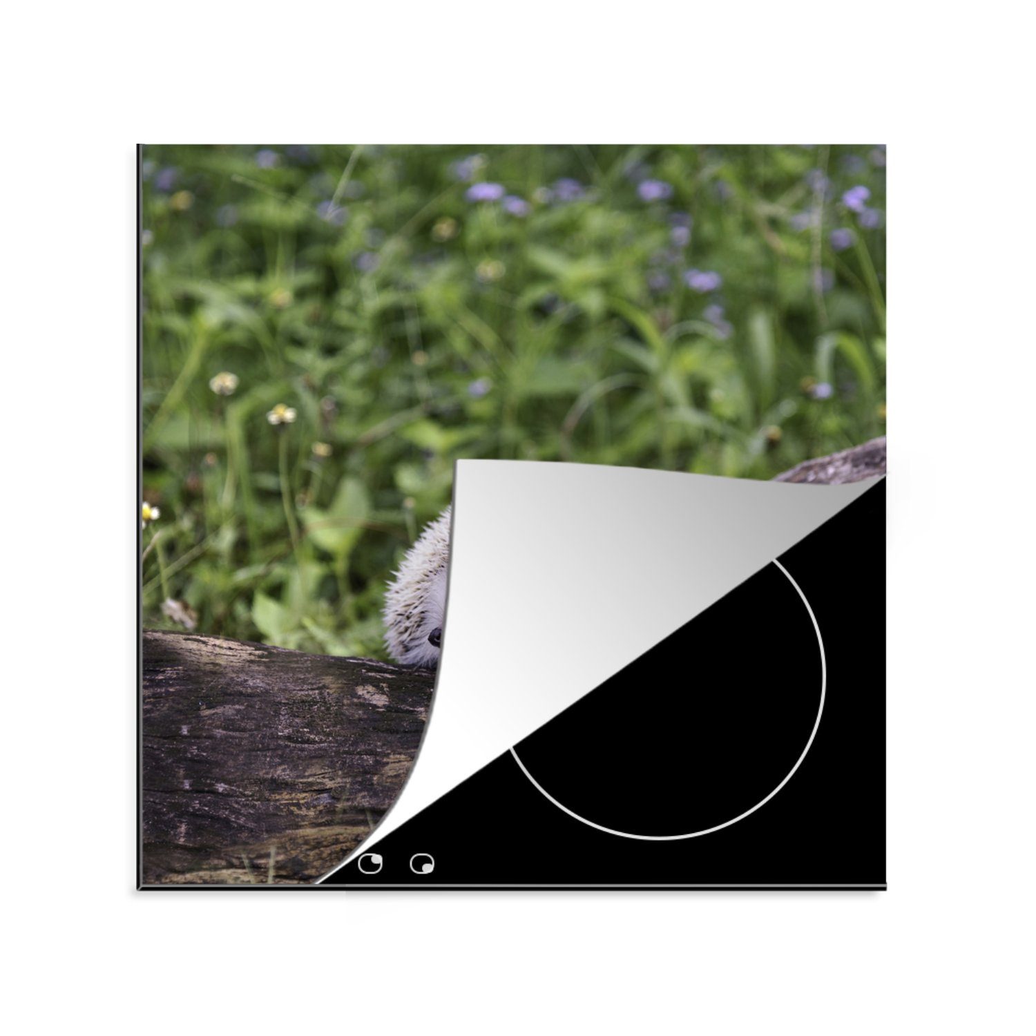 MuchoWow Herdblende-/Abdeckplatte Igel - Weiß - Baumstamm - Blumen, Vinyl, (1 tlg), 78x78 cm, Ceranfeldabdeckung, Arbeitsplatte für küche