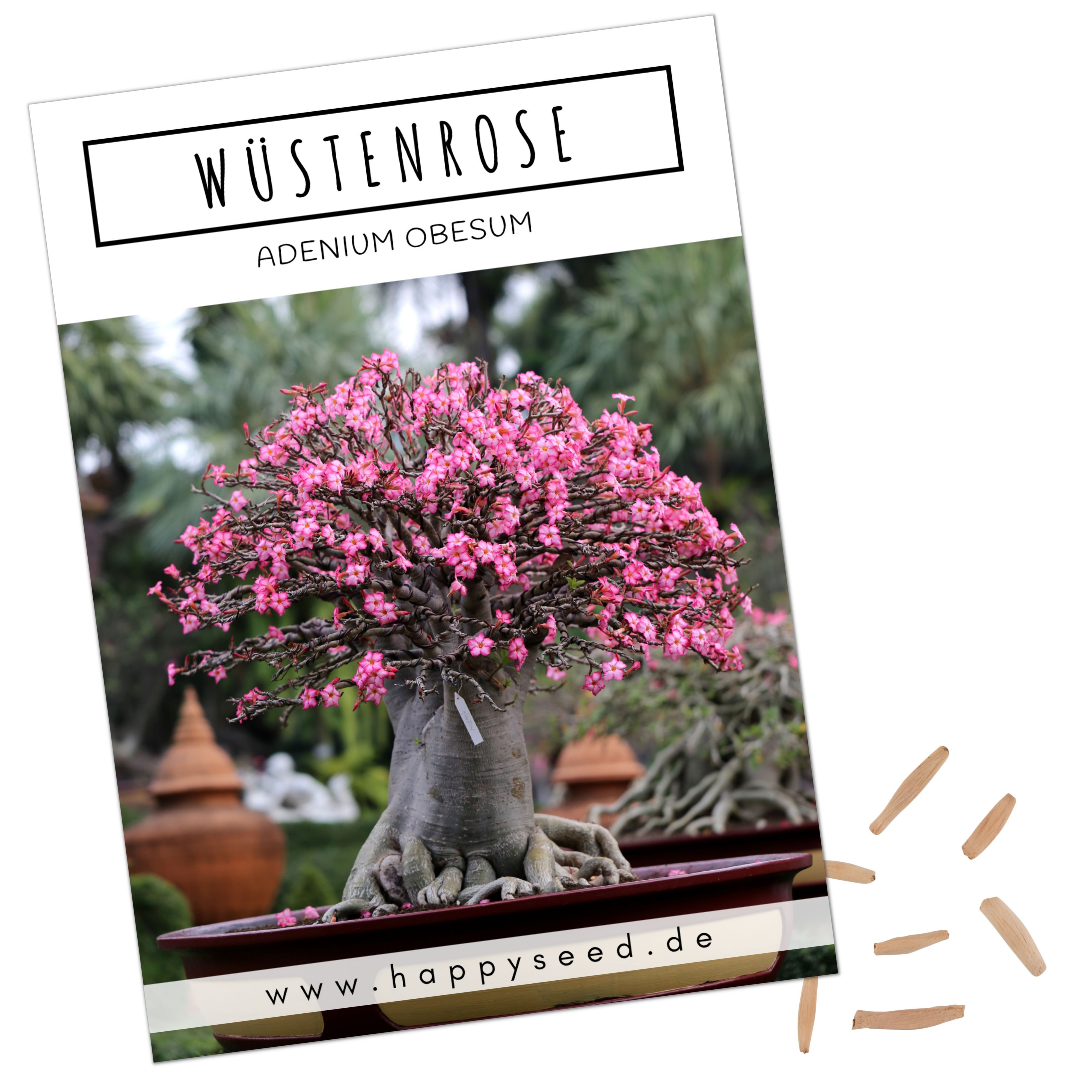 HappySeed Blumensamen Außergewöhnliche Bonsai Samen mit hoher Keimrate - Wüstenrose, Bonsaifähig