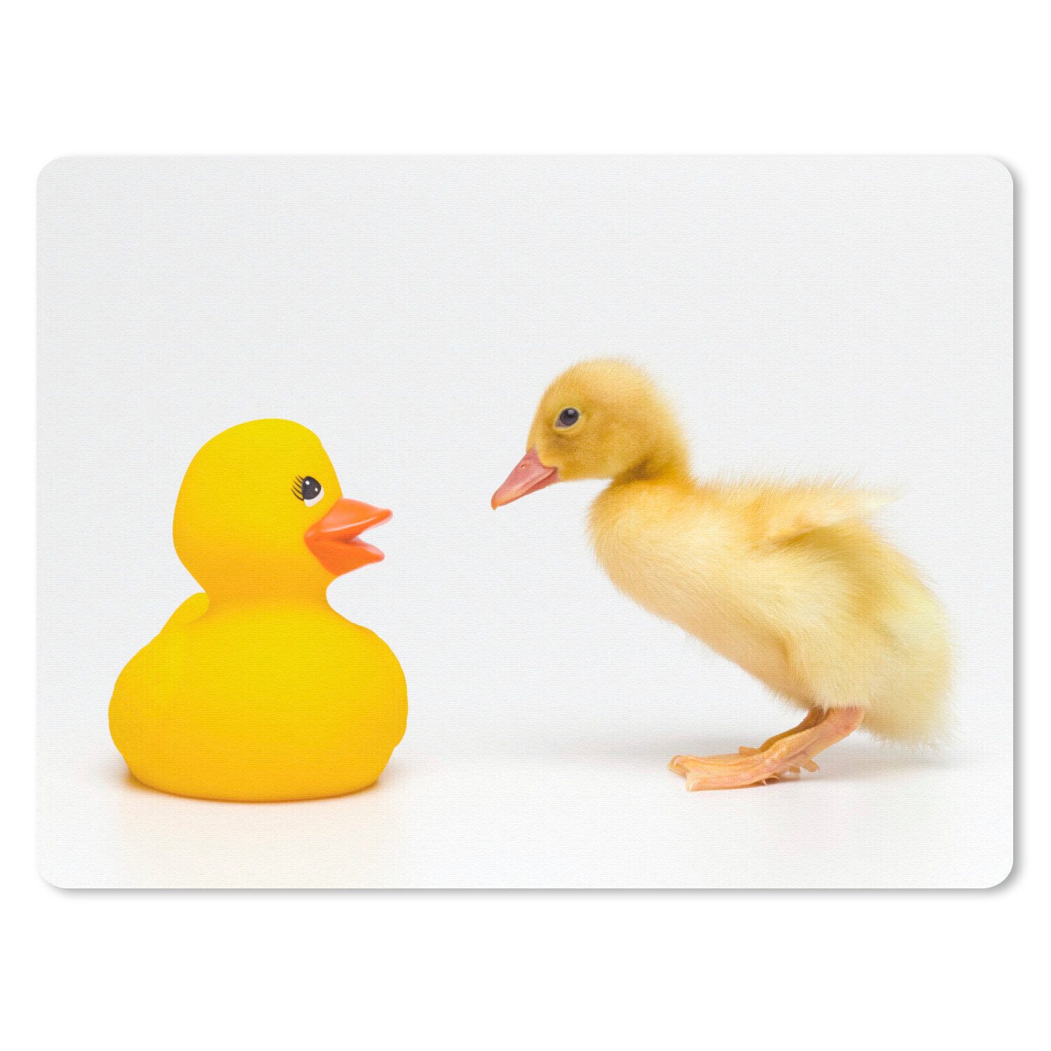 MuchoWow Mauspad Baby Ente mit Bad Ente auf weißem Hintergrund (1-St), Büro für Tastatur und Maus, Mousepad Gaming, 40x30 cm