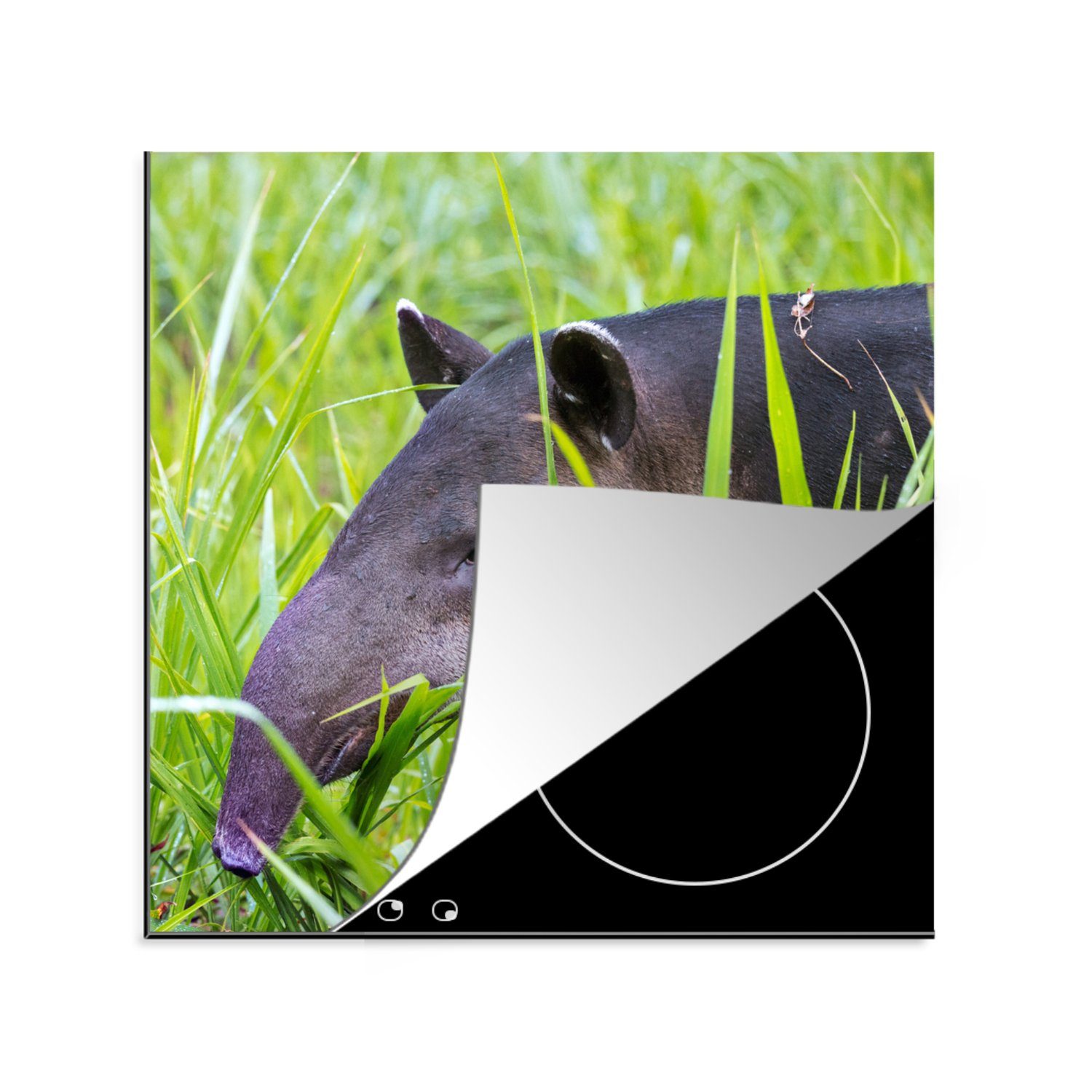 MuchoWow Herdblende-/Abdeckplatte Mittelamerikanischer Tapir im Nationalpark von Costa Rica, Vinyl, (1 tlg), 78x78 cm, Ceranfeldabdeckung, Arbeitsplatte für küche