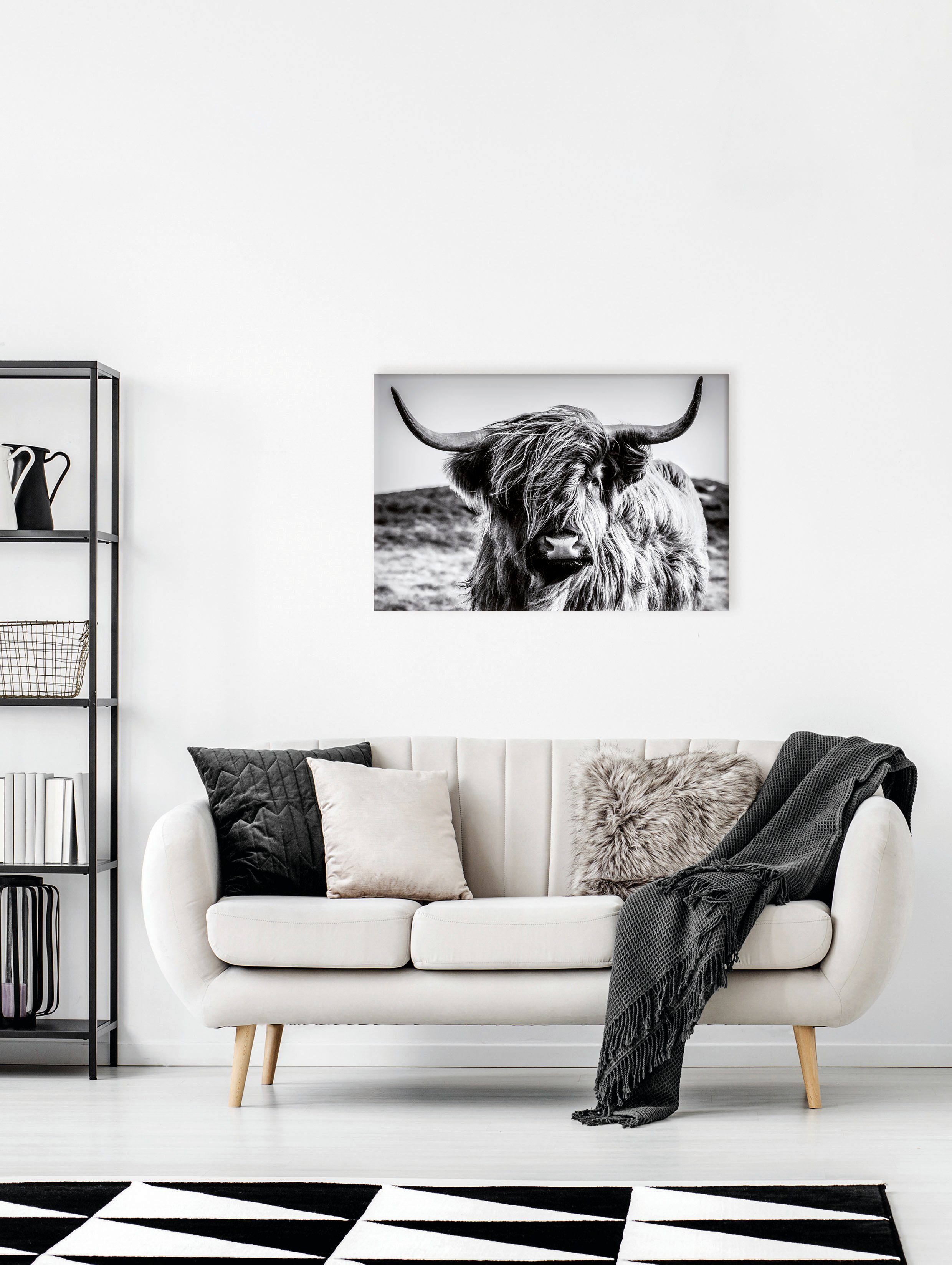 Bönninghoff Leinwandbild Hochlandrind, (1 St) günstig online kaufen