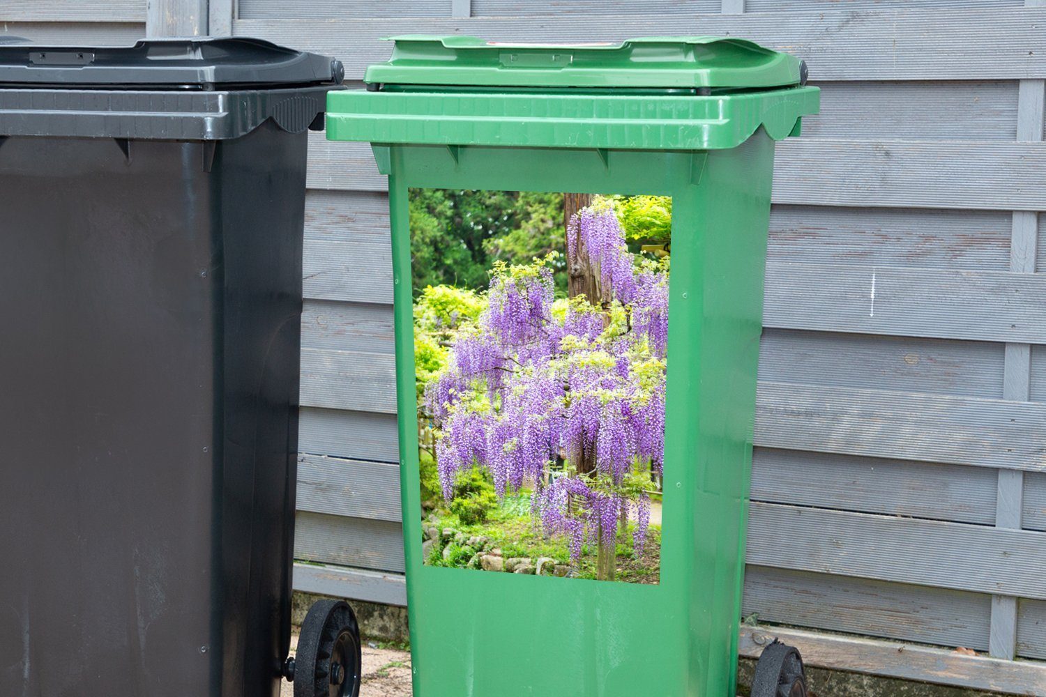 MuchoWow Wandsticker Lila Glyzinie (1 Hintergrund Mülleimer-aufkleber, St), Sticker, Mülltonne, Abfalbehälter auf Container, grünem