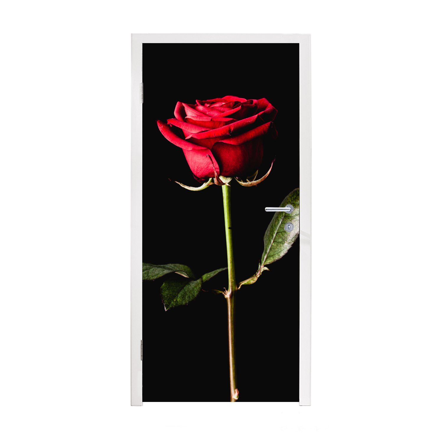 MuchoWow Türtapete Eine rote Rose auf schwarzem Hintergrund, Matt, bedruckt, (1 St), Fototapete für Tür, Türaufkleber, 75x205 cm