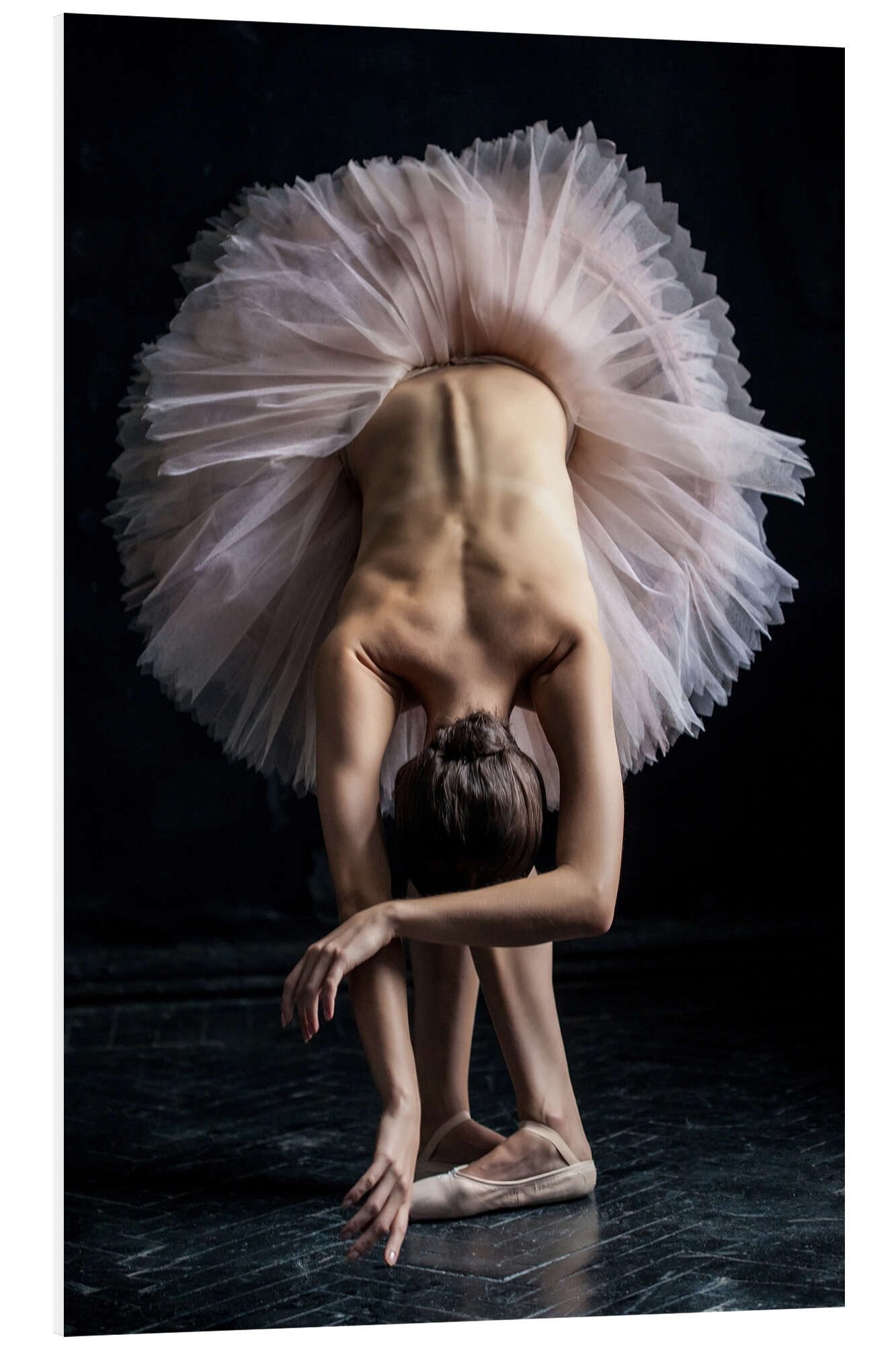 Posterlounge Wandbild Schöne Ballerina verbeugt sich, Editors Choice, erhältlich als Poster, Leinwandbild, Wandsticker oder Acrylglasbild