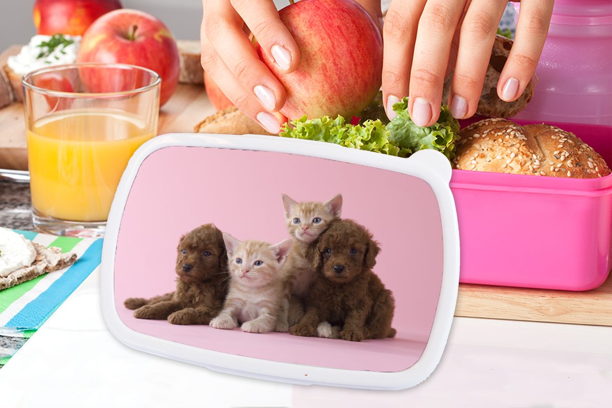 - MuchoWow Welpe Snackbox, Kunststoff, Rosa, für Kätzchen - Kunststoff (2-tlg), Kinder, Mädchen, Lunchbox Brotdose Erwachsene, Brotbox