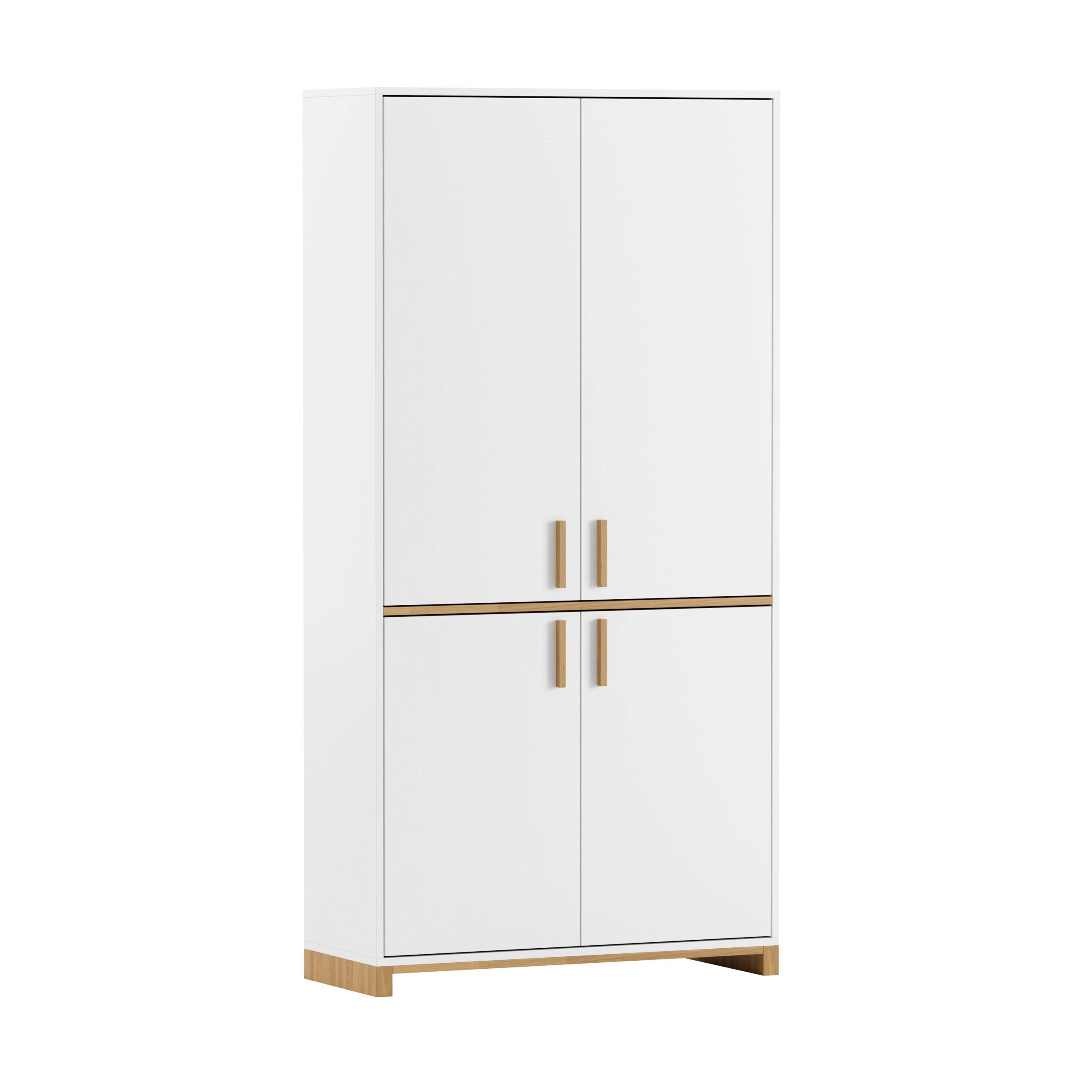 Deerhorn Aktenschrank Schrank 200x100 cm, 4 Türen, Soft-Close Tiefe: 40 cm