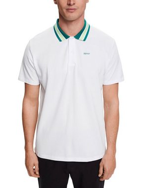 Esprit Poloshirt Poloshirt aus Baumwoll-Piqué mit Streifenkragen