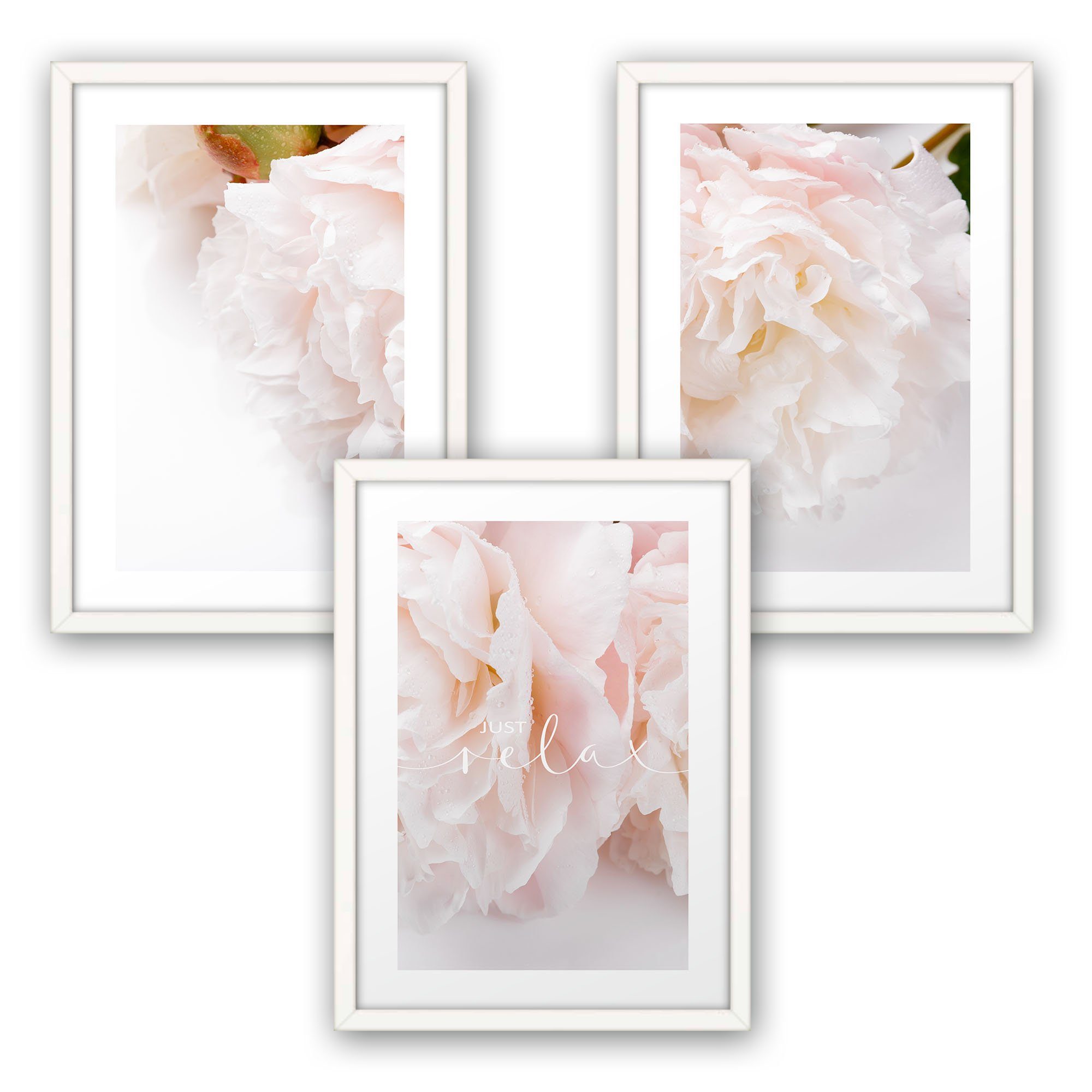 Kreative Feder Poster, Natur, Blumen, Blüten, Pflanzen, Garten (Set, 3 St), 3-teiliges Poster-Set, Wandbild, optional mit Rahmen, DIN A4 oder A3