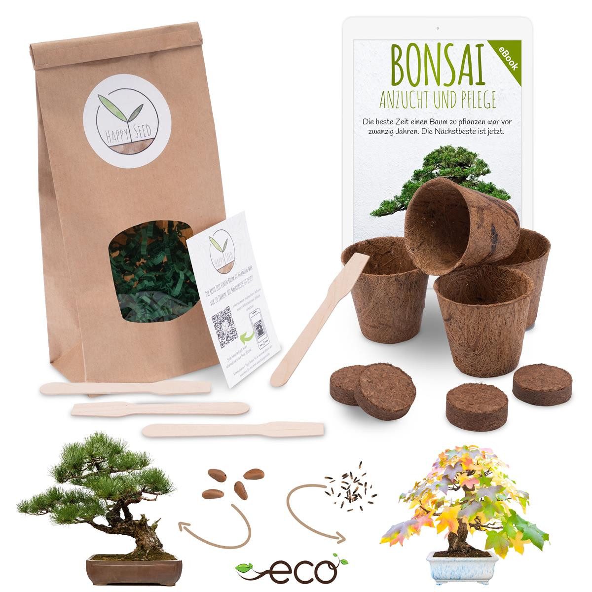 Blumensamen Bonsai Anzuchtset inkl. eBook - Pflanzset mit Pinie + Amberbaum