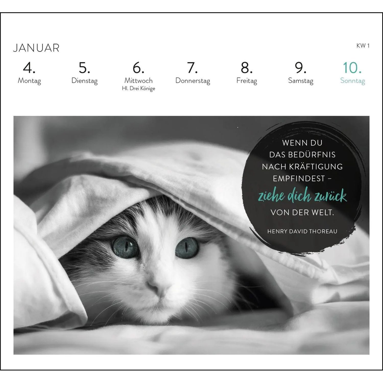 groh Verlag Tischkalender Postkartenkalender 2027: Inspirierende Worte für Katzenfreunde