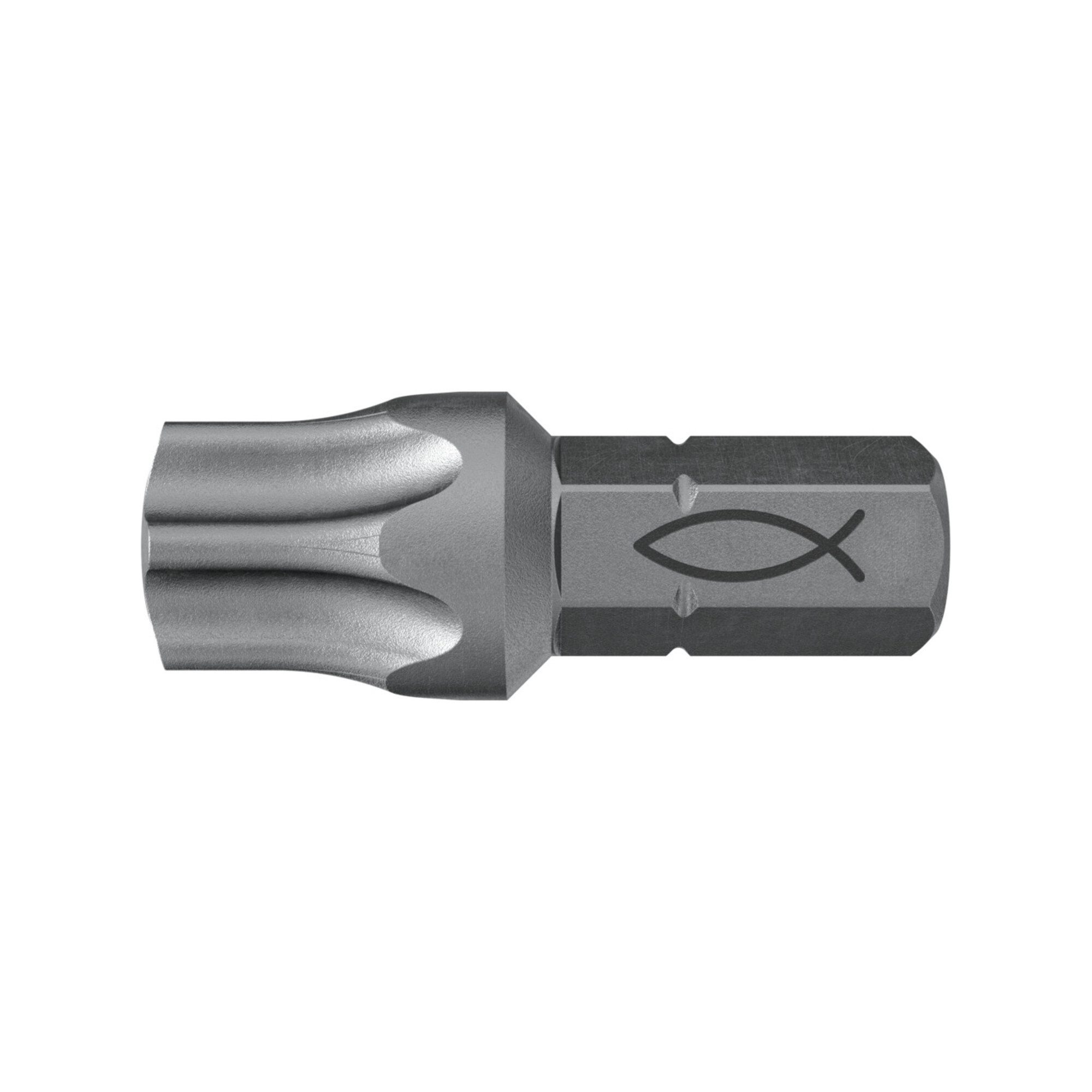 fischer Torx-Bit fischer Profi Bit FPB T 50