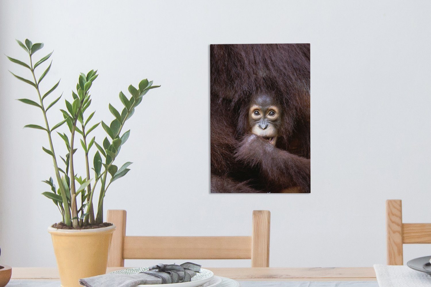 Orang-Utan (1 fertig St), Leinwandbild mit 20x30 OneMillionCanvasses® Mutter, Gemälde, seiner cm Leinwandbild Ein inkl. bespannt Zackenaufhänger,
