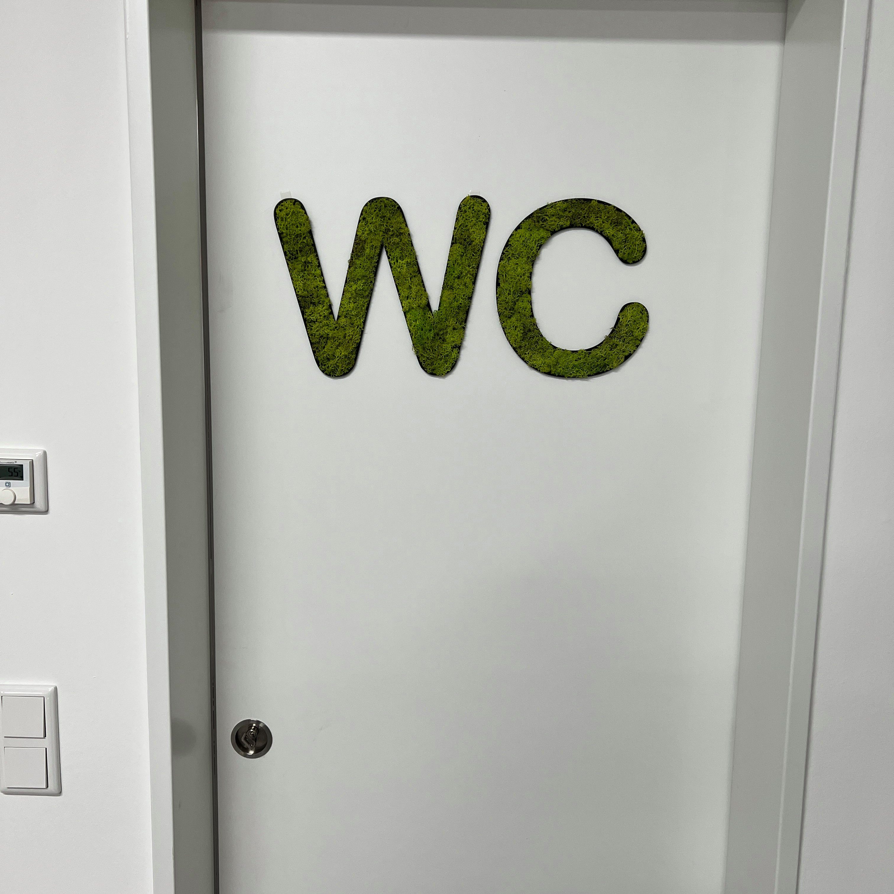 dixtime Wanddekoobjekt Islandmoos das WC, ganze Pflege! Set Immergrün - 0% Jahr springgrün –