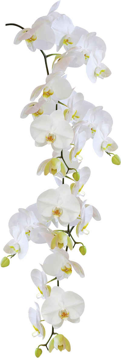 Kleine Wolke Fensterbild »Statics Orchid«, BxH: 23x68 cm, selbsthaftend