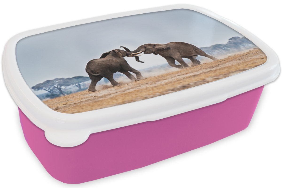 rosa MuchoWow Lunchbox Tiere Brotbox Snackbox, Brotdose Flachland Natur, Mädchen, - Kunststoff, (2-tlg), - Erwachsene, Elefant - für Kunststoff Kinder,