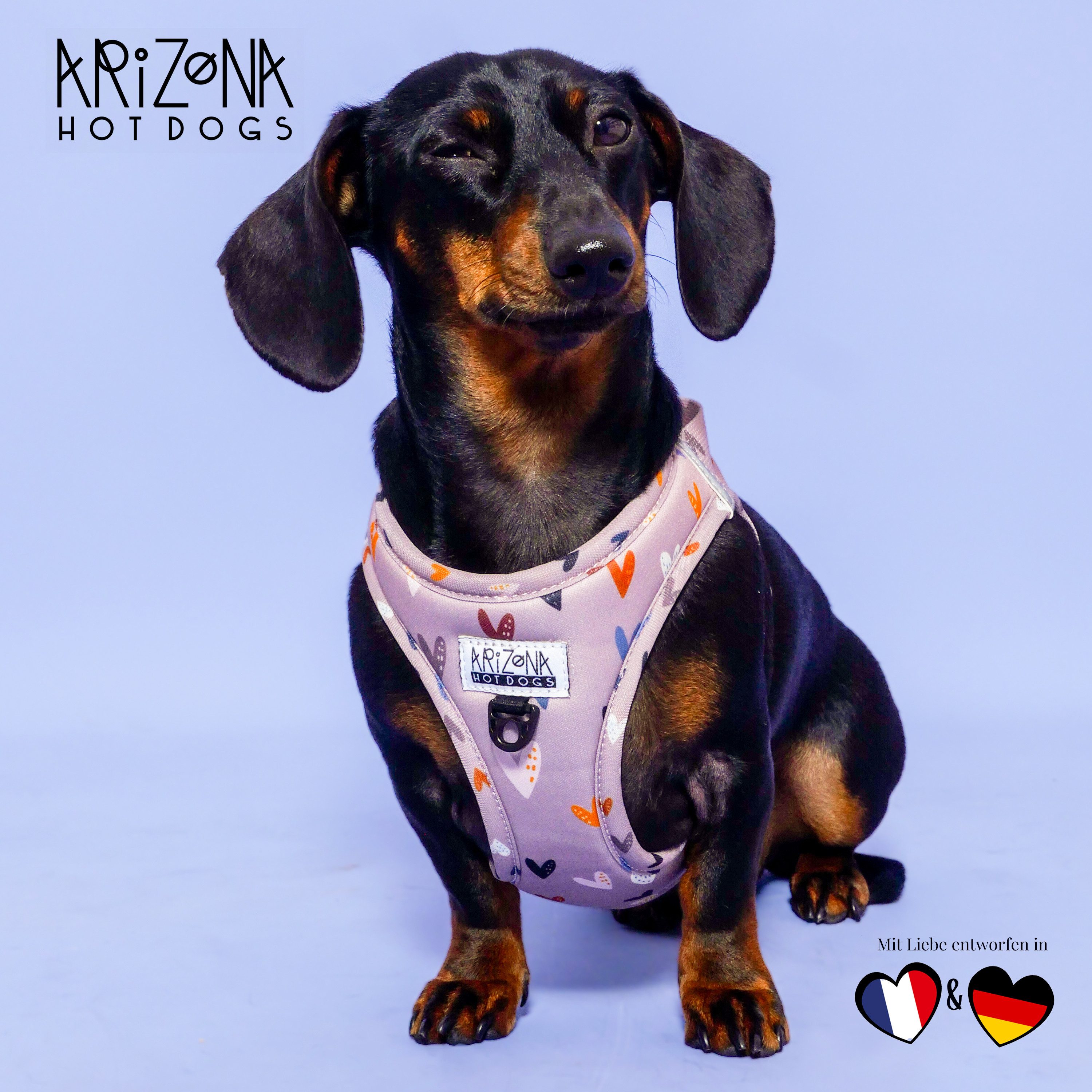 ARIZONA HOT DOGS Hunde-Geschirr Step-In Neopren, Arizona Hotdogs Hundegeschirr Sweet Love, XL