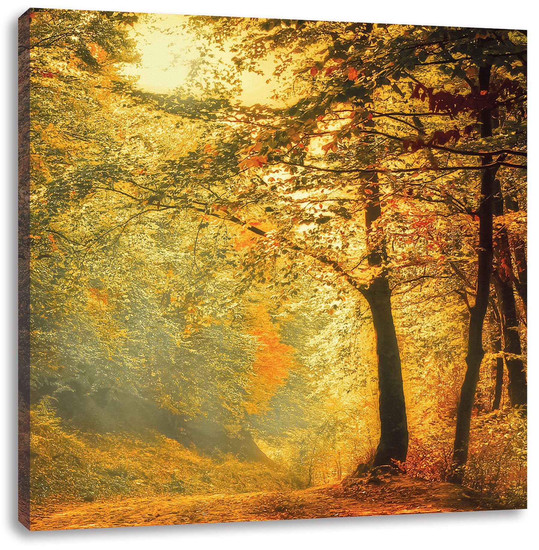 Pixxprint Leinwandbild Wald im Herbst, Wald im Herbst (1 St), Leinwandbild fertig bespannt, inkl. Zackenaufhänger