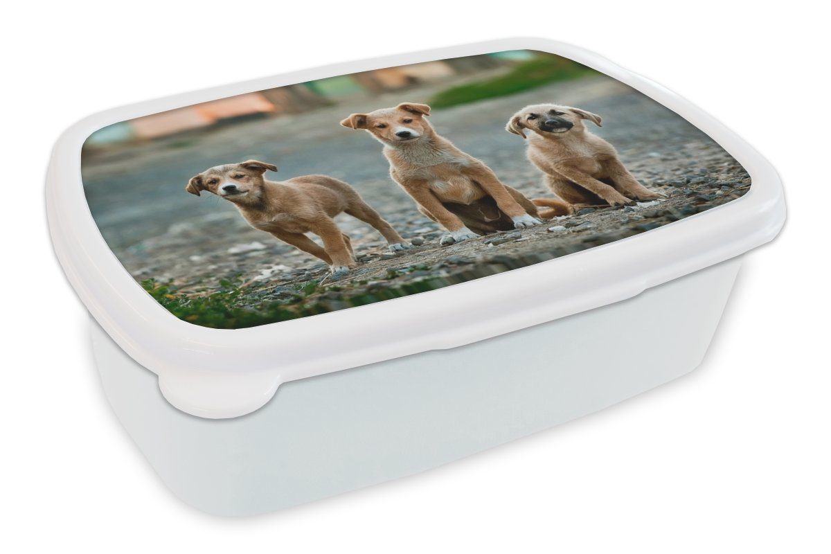 MuchoWow Lunchbox Hunde - Welpe - Auswärts, Kunststoff, (2-tlg), Brotbox für Kinder und Erwachsene, Brotdose, für Jungs und Mädchen weiß