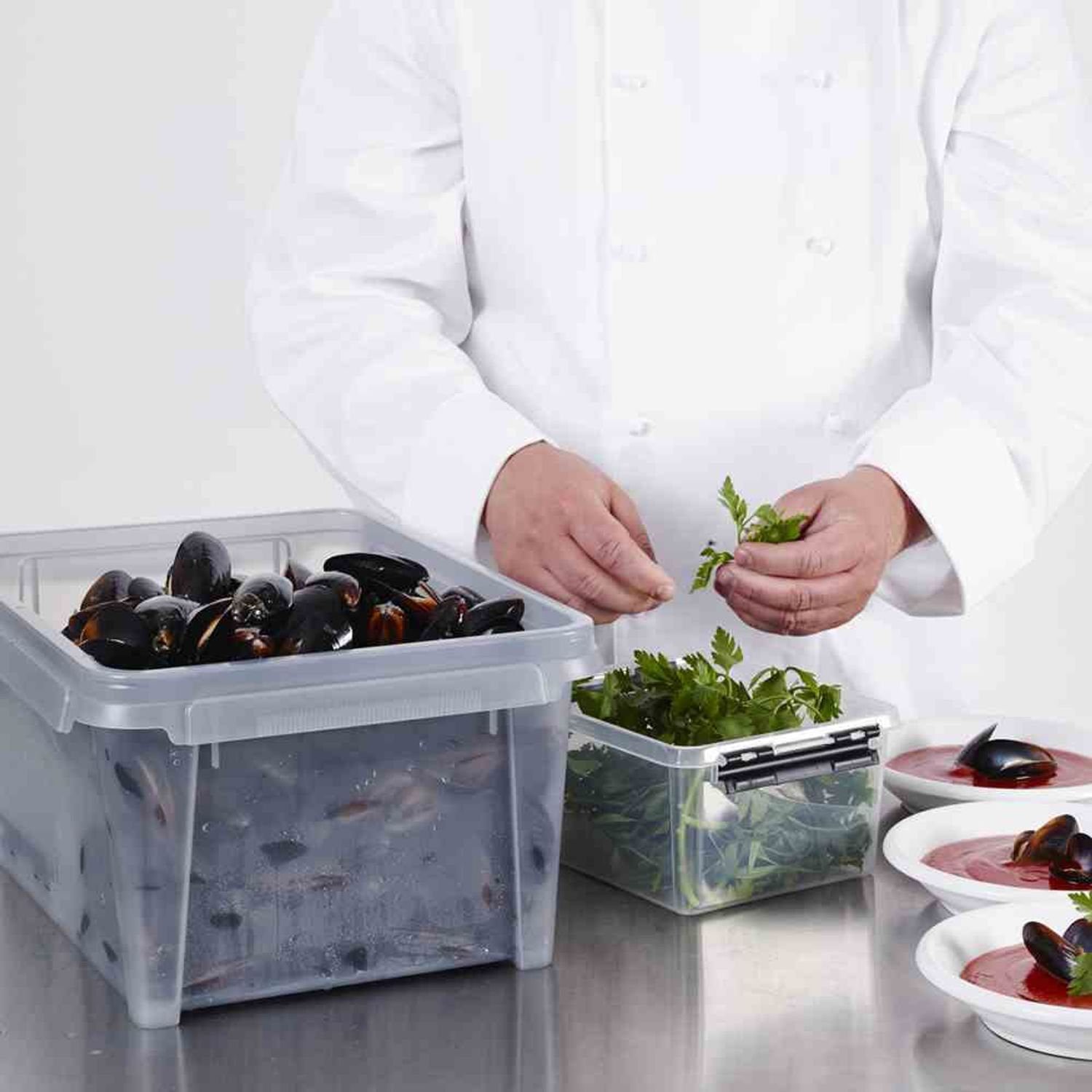 Orthex Aufbewahrungsbox Box wasserdicht 12 l günstig online kaufen