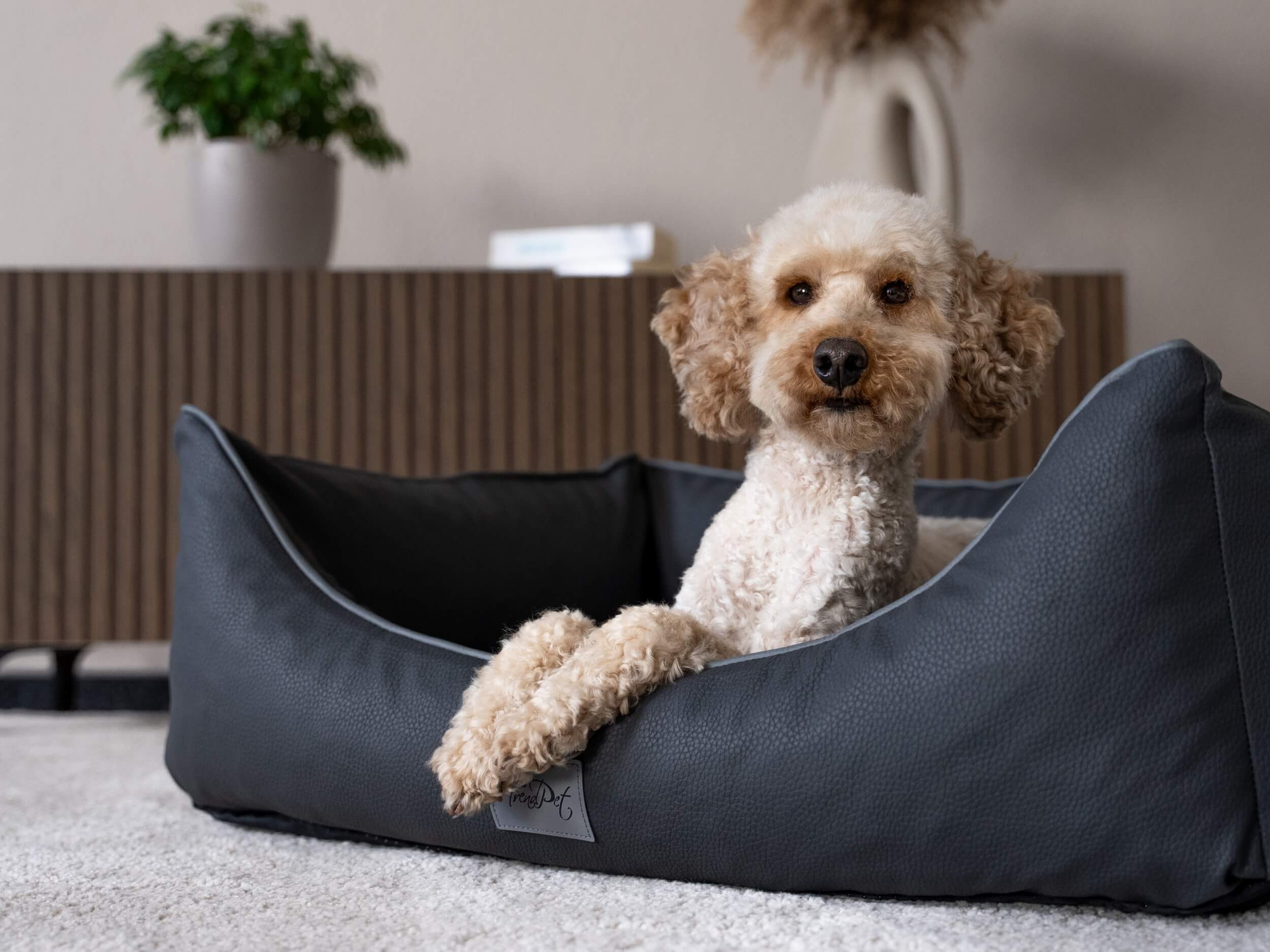 TrendPet Hundebett Runa Kunstlederbett, Kunstleder, besonders hoch gepolstert