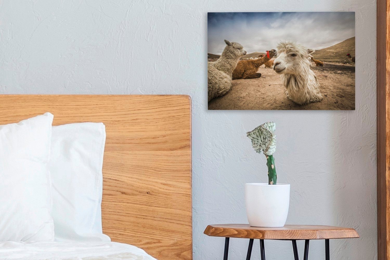 aus, von ruhen sich der Wanddeko, St), Aufhängefertig, OneMillionCanvasses® Leinwandbild Arequipa (1 Wandbild in 30x20 Leinwandbilder, Lamas cm Landschaft