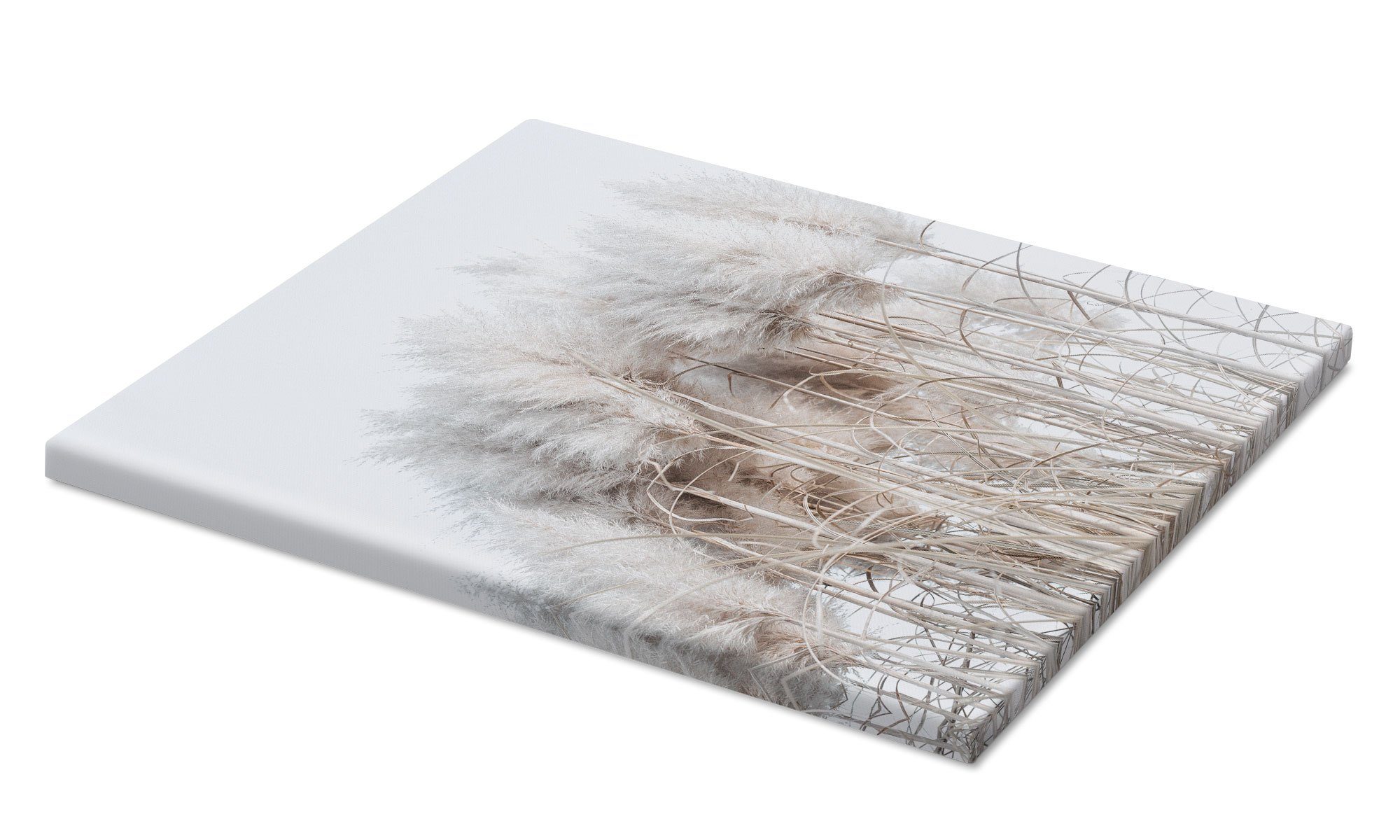 Posterlounge Wandbild Pampasgras I, Magda Izzard, günstig online kaufen