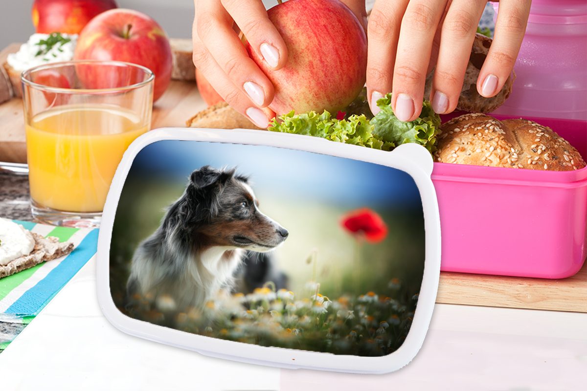 MuchoWow Lunchbox Hund - Blumen Farben, Brotbox Snackbox, für (2-tlg), Kunststoff Kinder, Erwachsene, Kunststoff, - Mädchen, Brotdose rosa