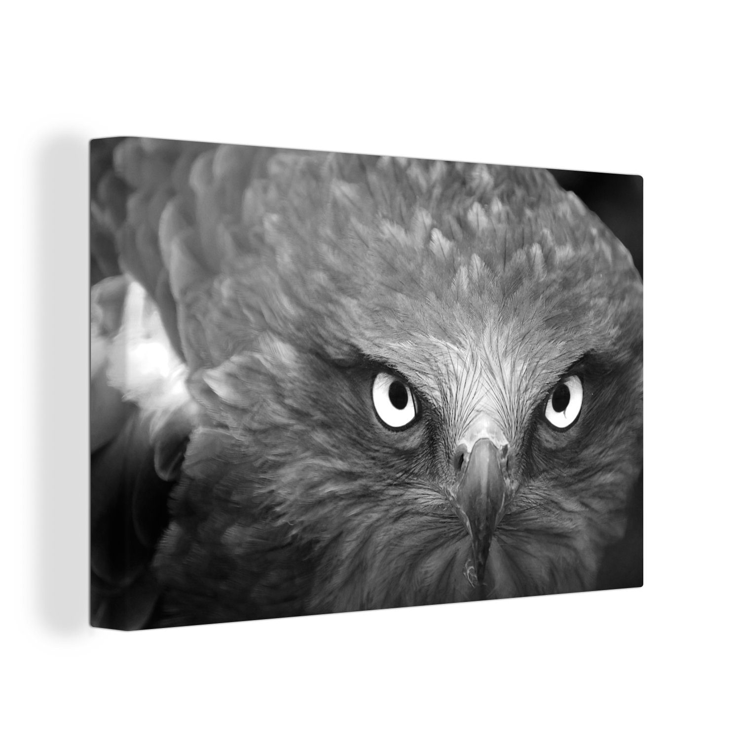 OneMillionCanvasses® Leinwandbild Adler - Schwarz - Weiß, (1 St), Wandbild Leinwandbilder, Aufhängefertig, Wanddeko, 30x20 cm