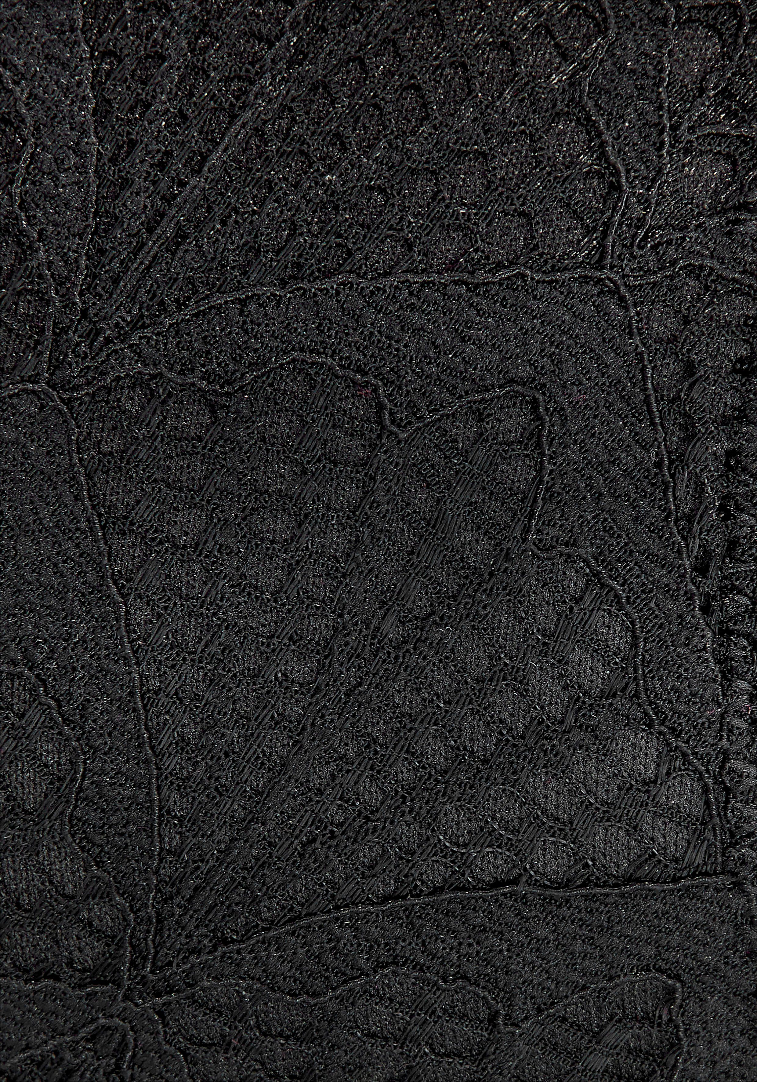 LASCANA Push-up-BH Sienna mit dekorativem Spitzenrücken, sexy Dessous