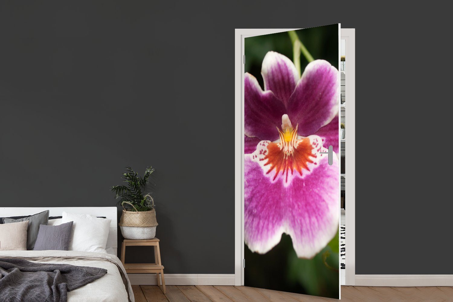 St), Fototapete Türaufkleber, 75x205 Tür, Orchidee, bedruckt, (1 für Türtapete Wilde Matt, cm MuchoWow