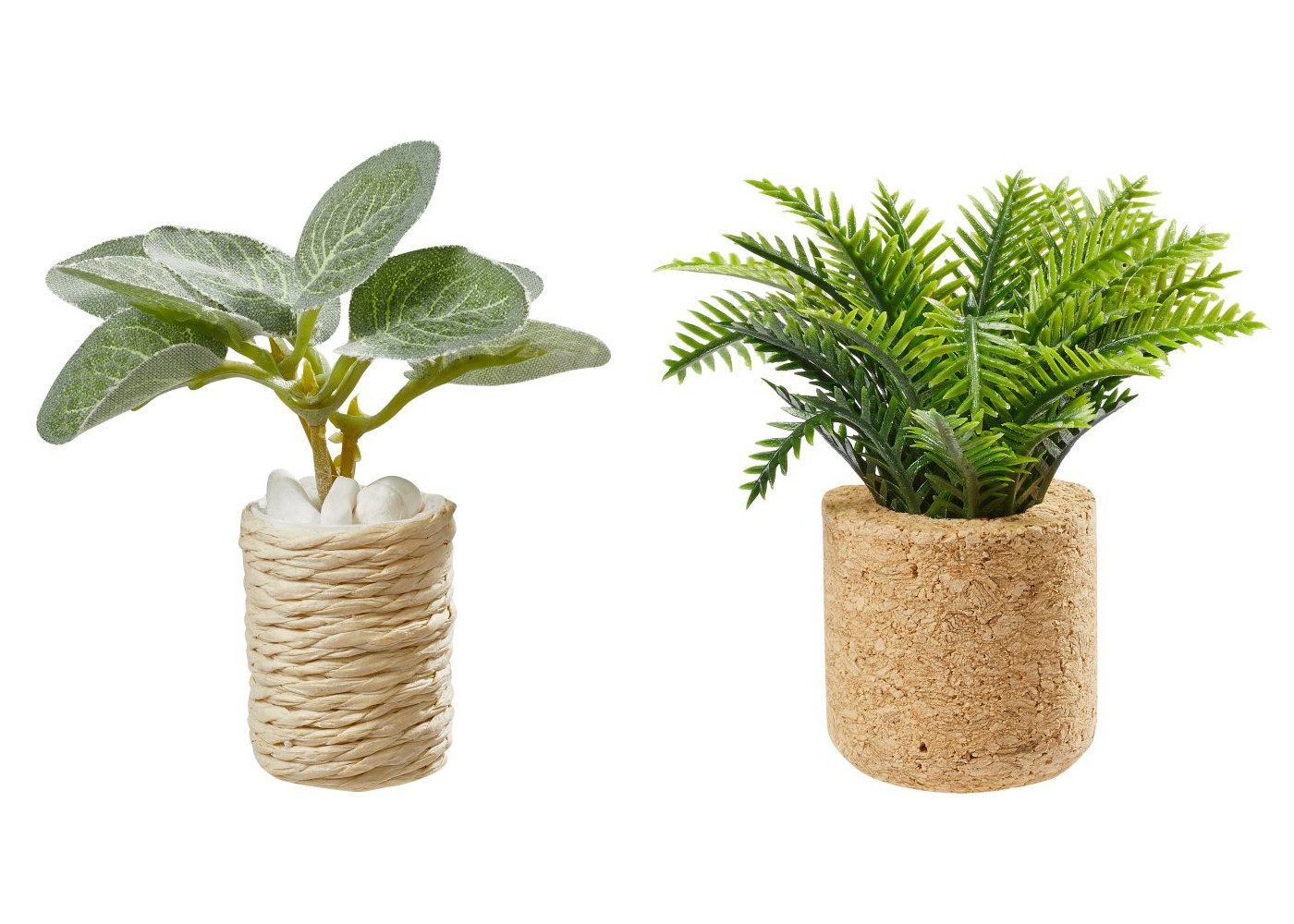 HobbyFun Dekofigur Zimmerpflanzen (2 St), 2-tlg. Set günstig online kaufen