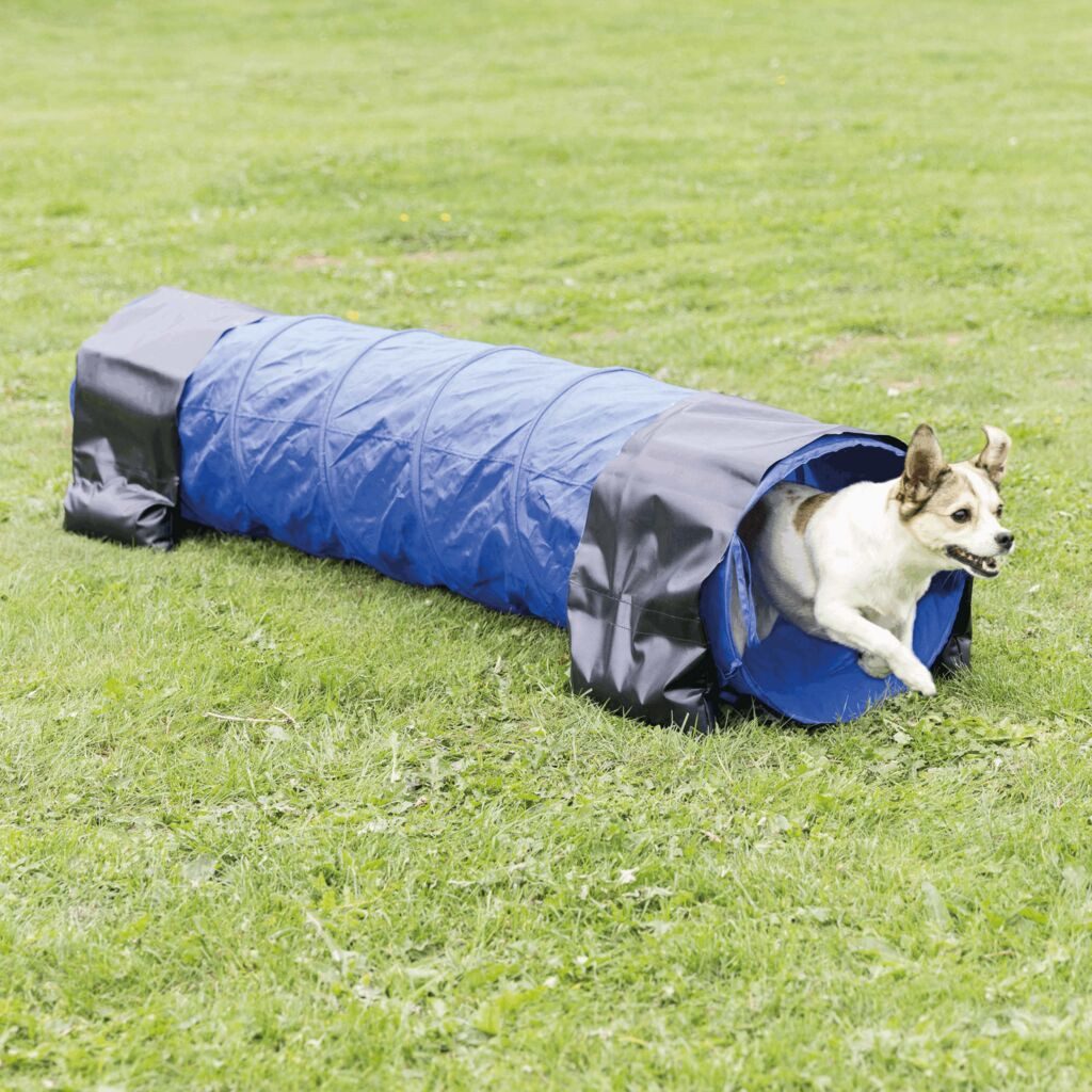 TRIXIE Agility-Tunnel Fun Agility Mini Tunnel - blau - ø 40 cm/2 m, Kunststoff