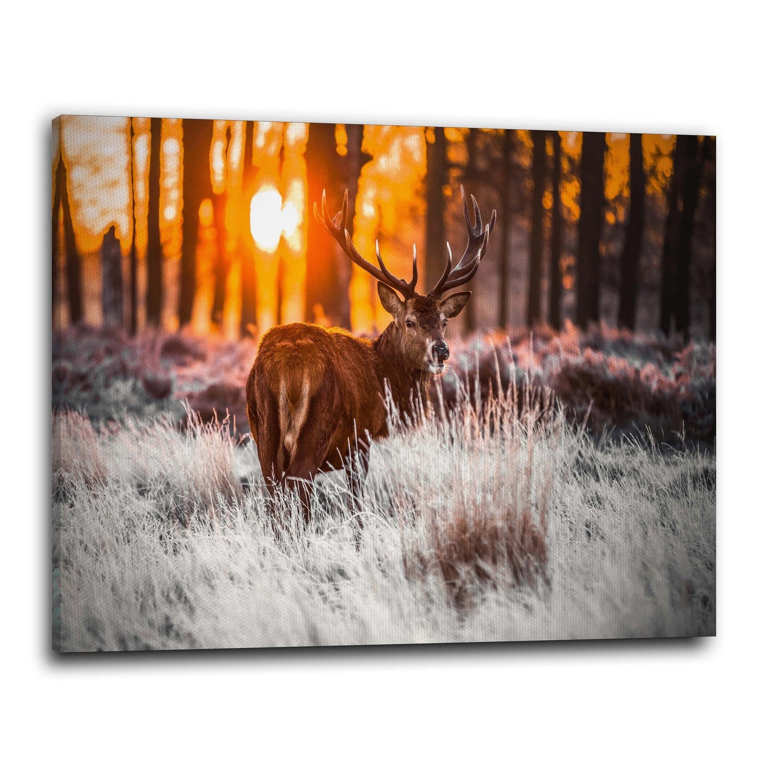 Artedinoi Leinwandbild Hirsch und Natur, Winter Tier Wandbild Leinwandbild Deko Kunst XL