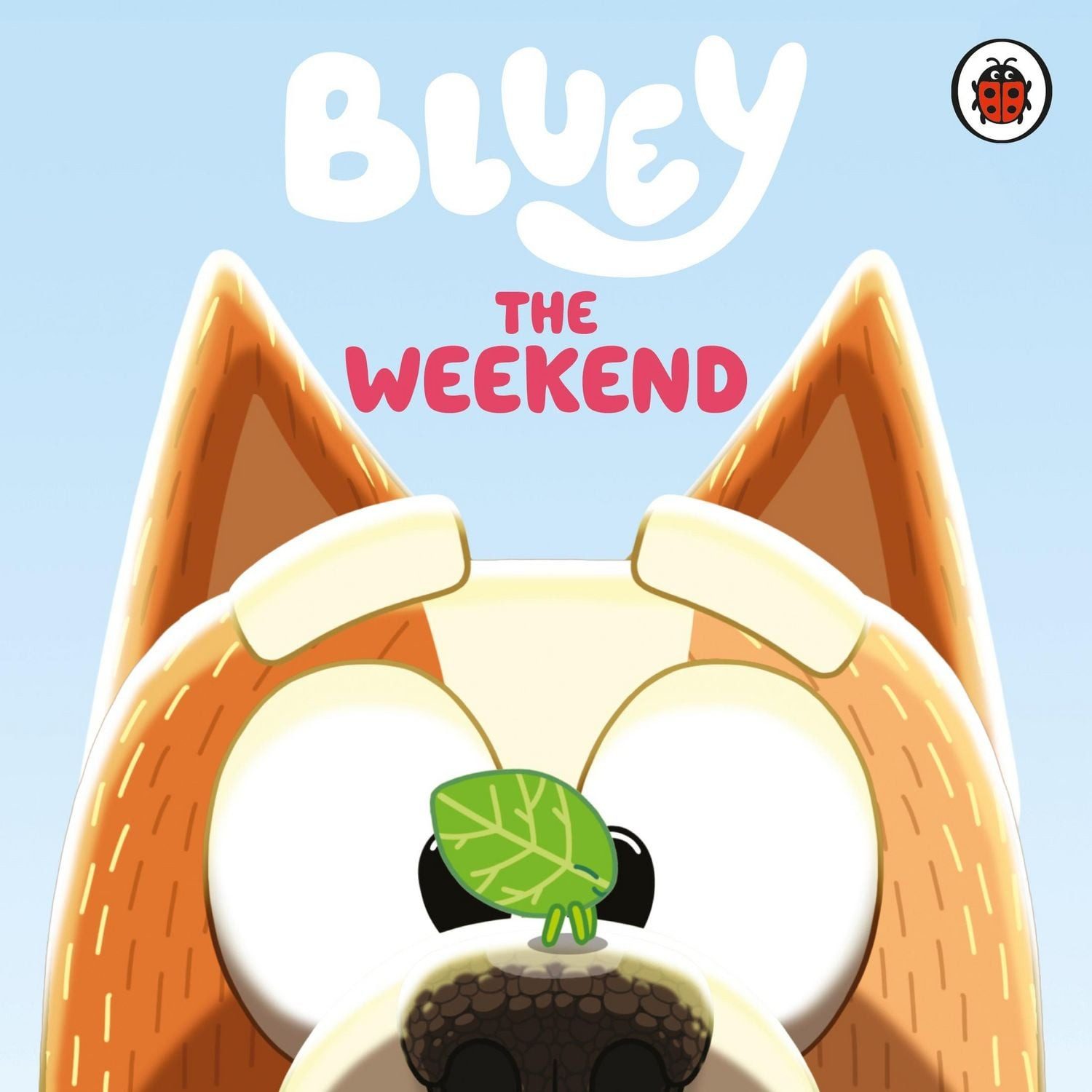 Bluey: The Weekend / Bluey