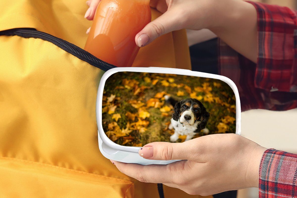 MuchoWow Lunchbox Cavalier King Charles weiß zwischen (2-tlg), Erwachsene, orangefarbenen, Jungs und Kinder Mädchen gelben Brotdose, für Kunststoff, Spaniel und für Brotbox und